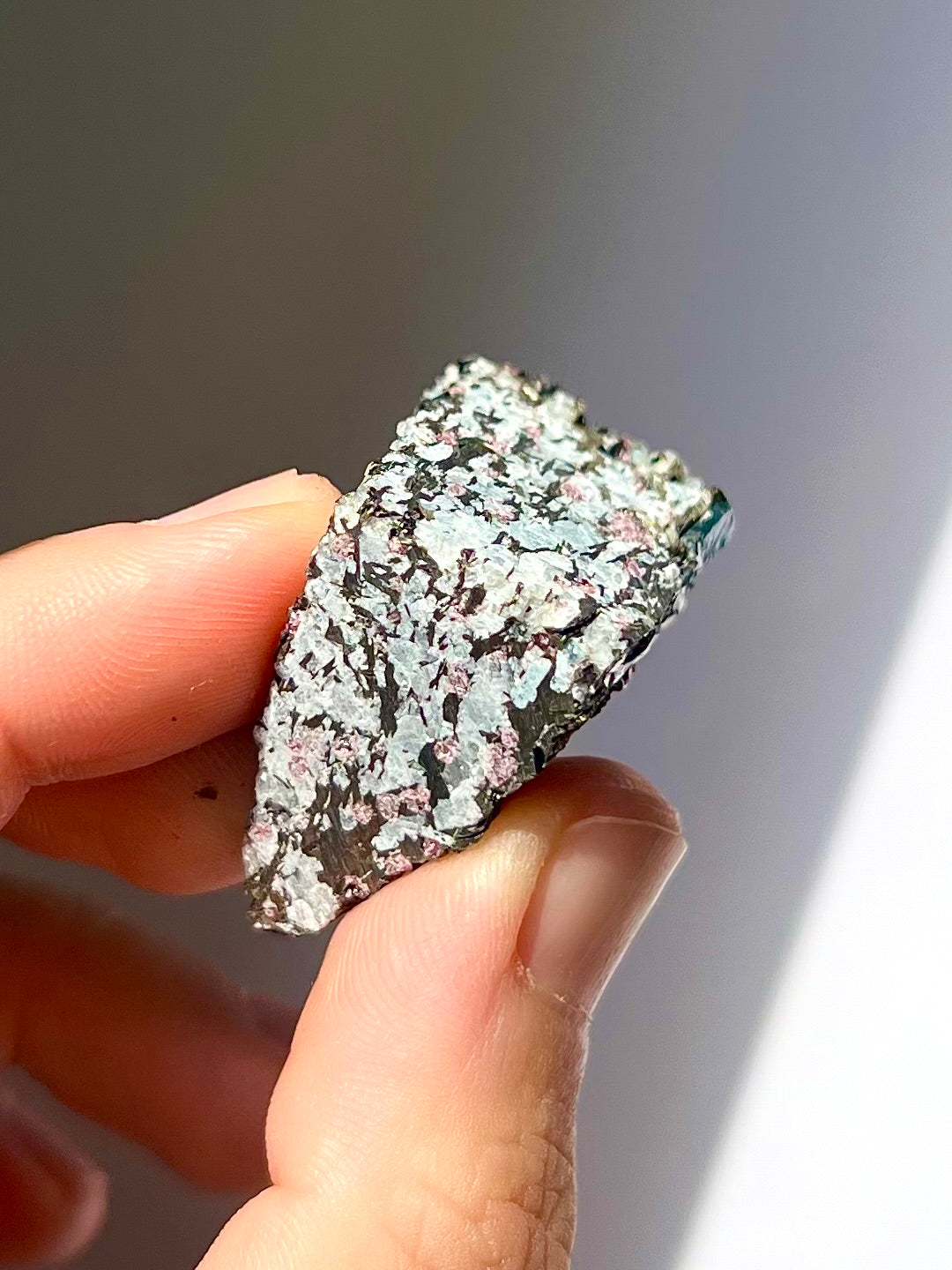 Spécimen Cyanite / Grenat / Biotite / Albite / Quartz 7