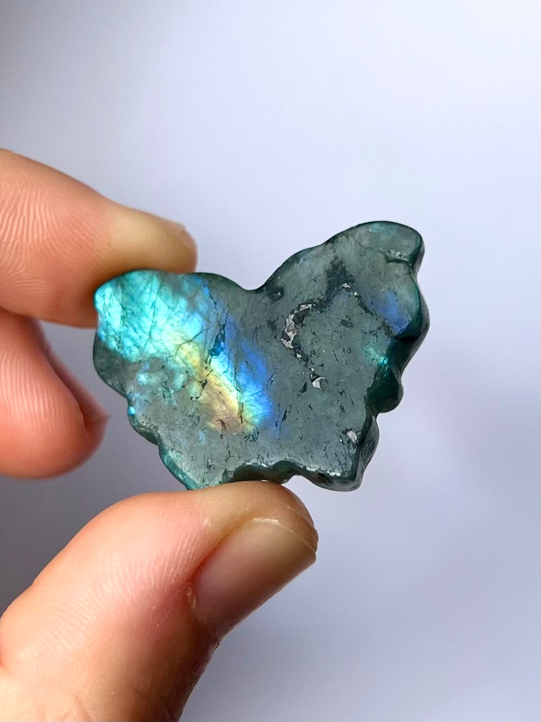 Papillon en Labradorite 5