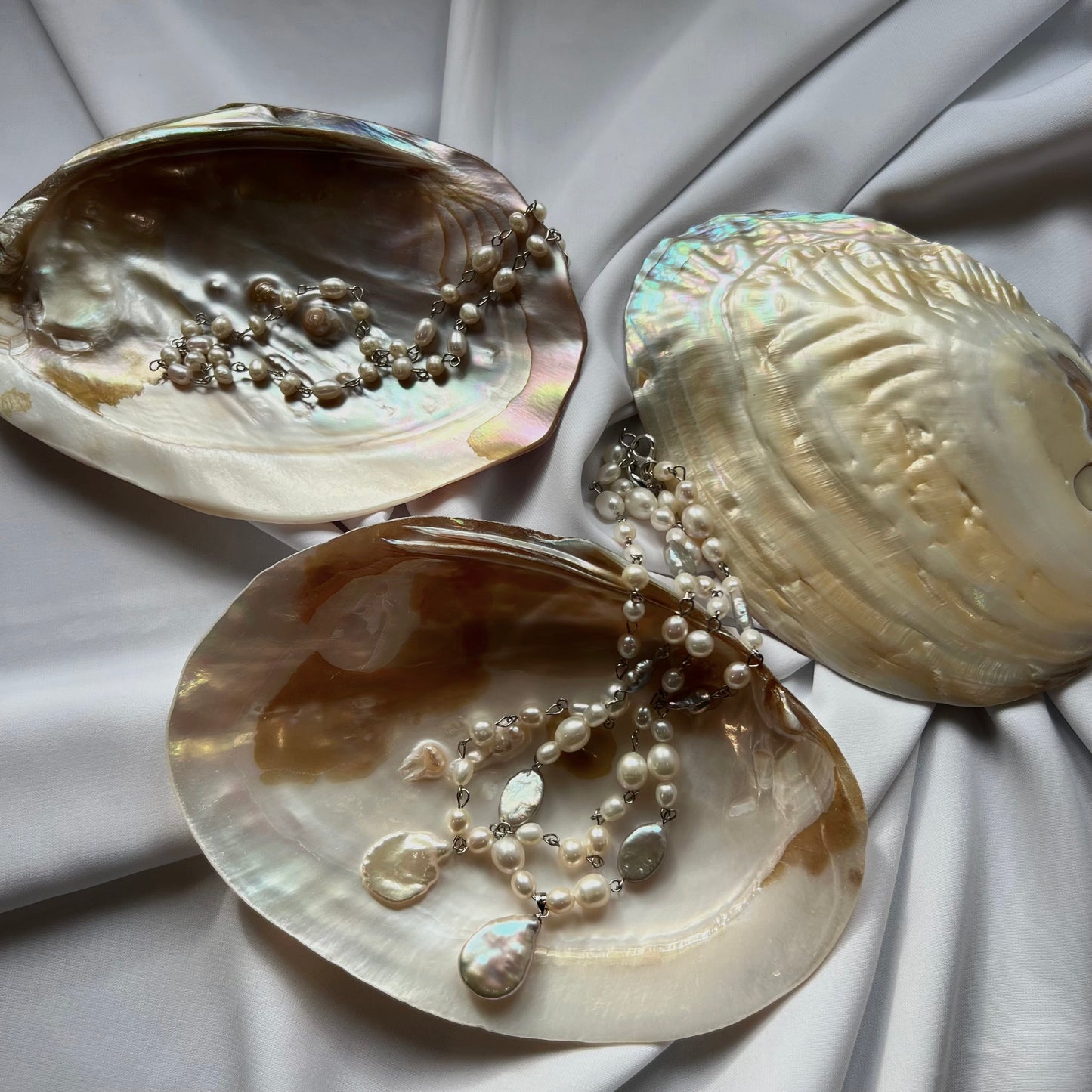 Coquille perlière