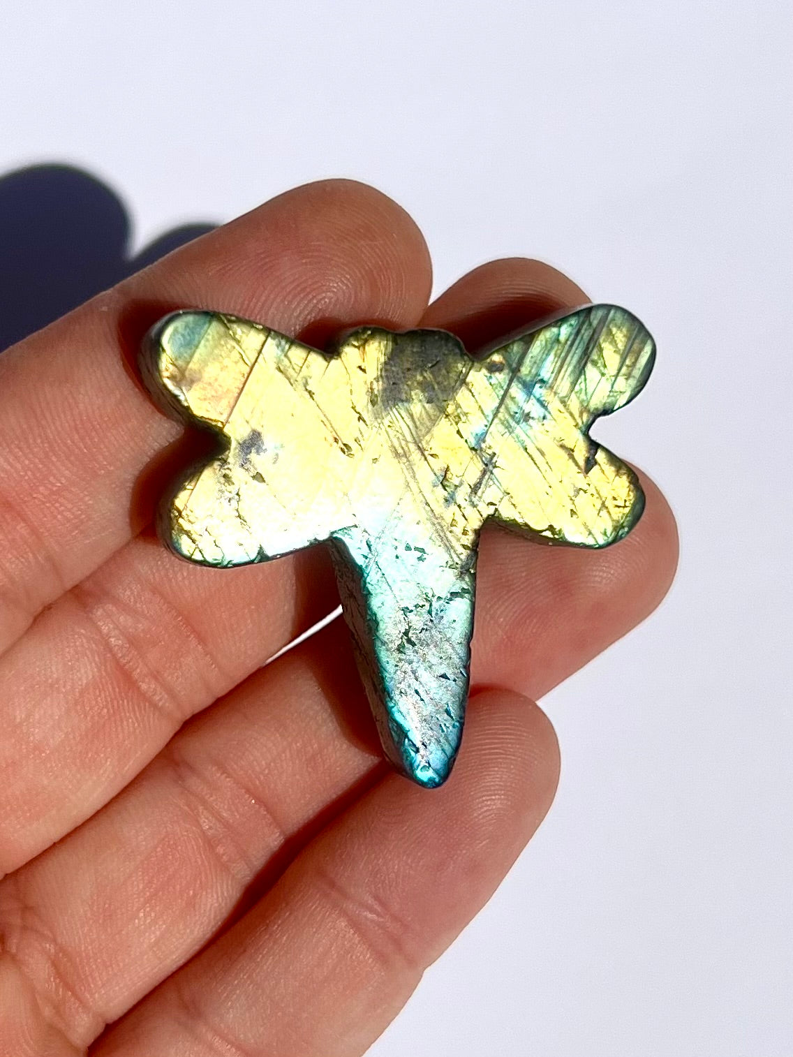 Libellule en Labradorite 4