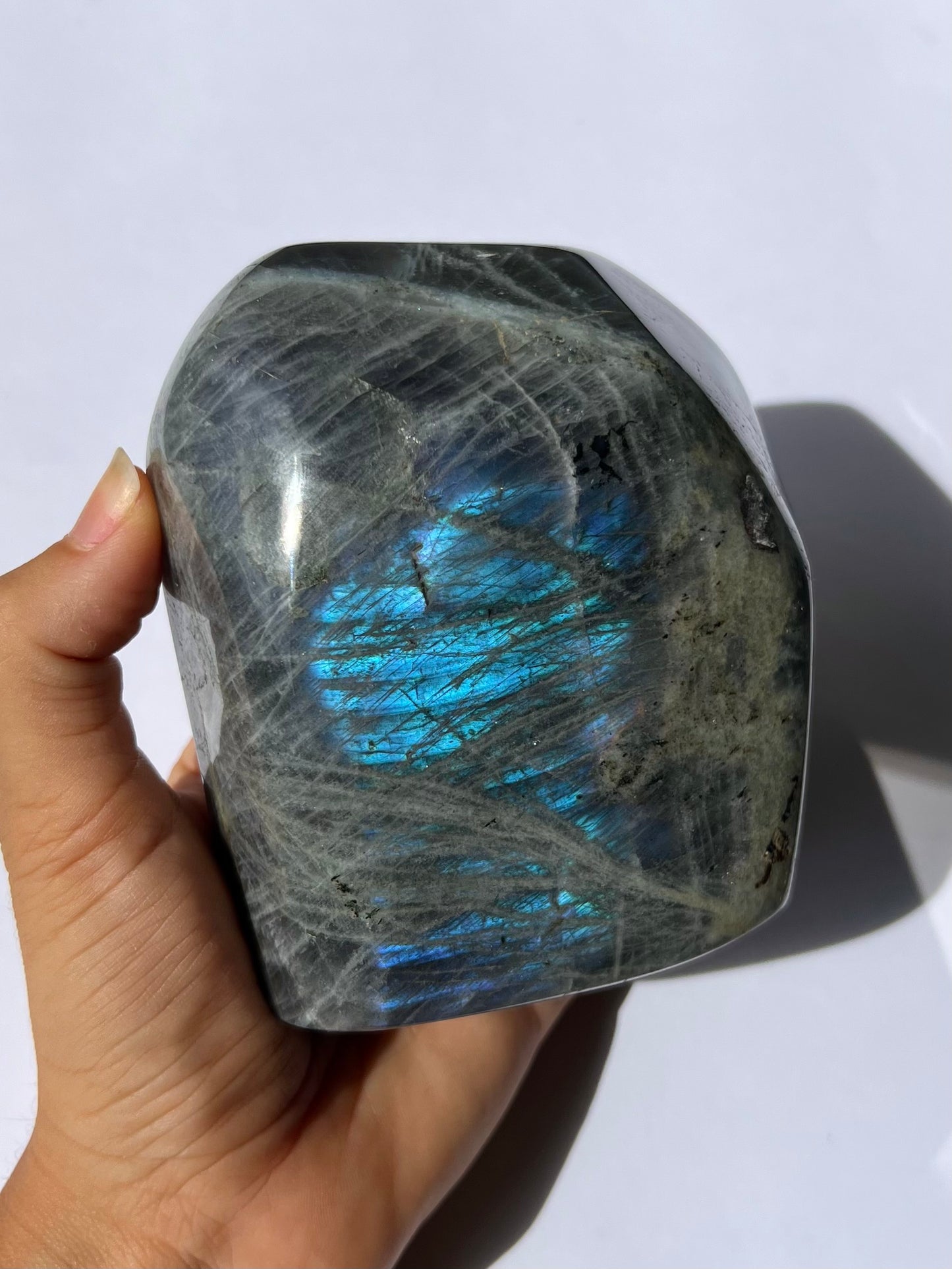 Forme libre Labradorite 10