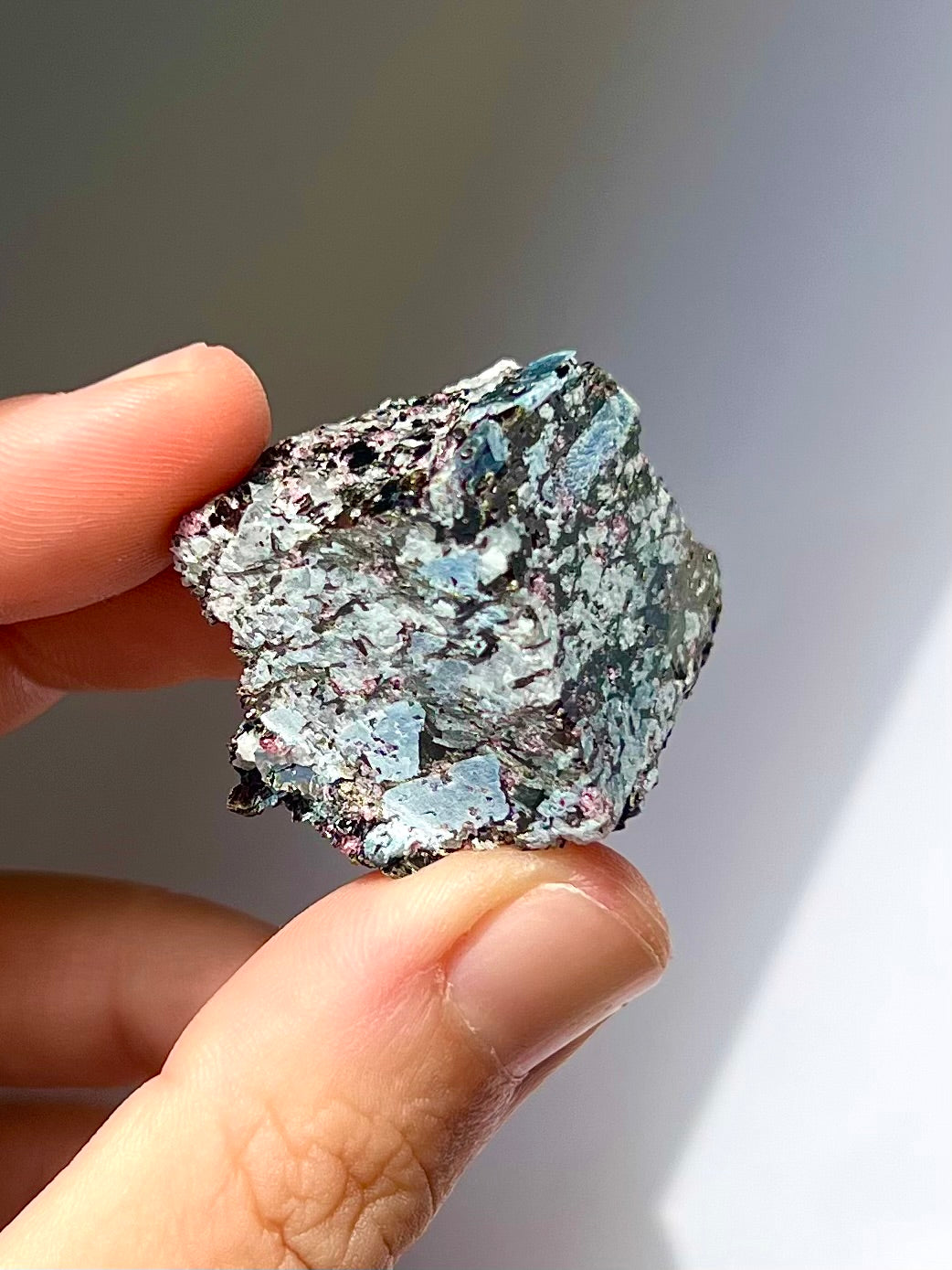 Spécimen Cyanite / Grenat / Biotite / Albite / Quartz 8