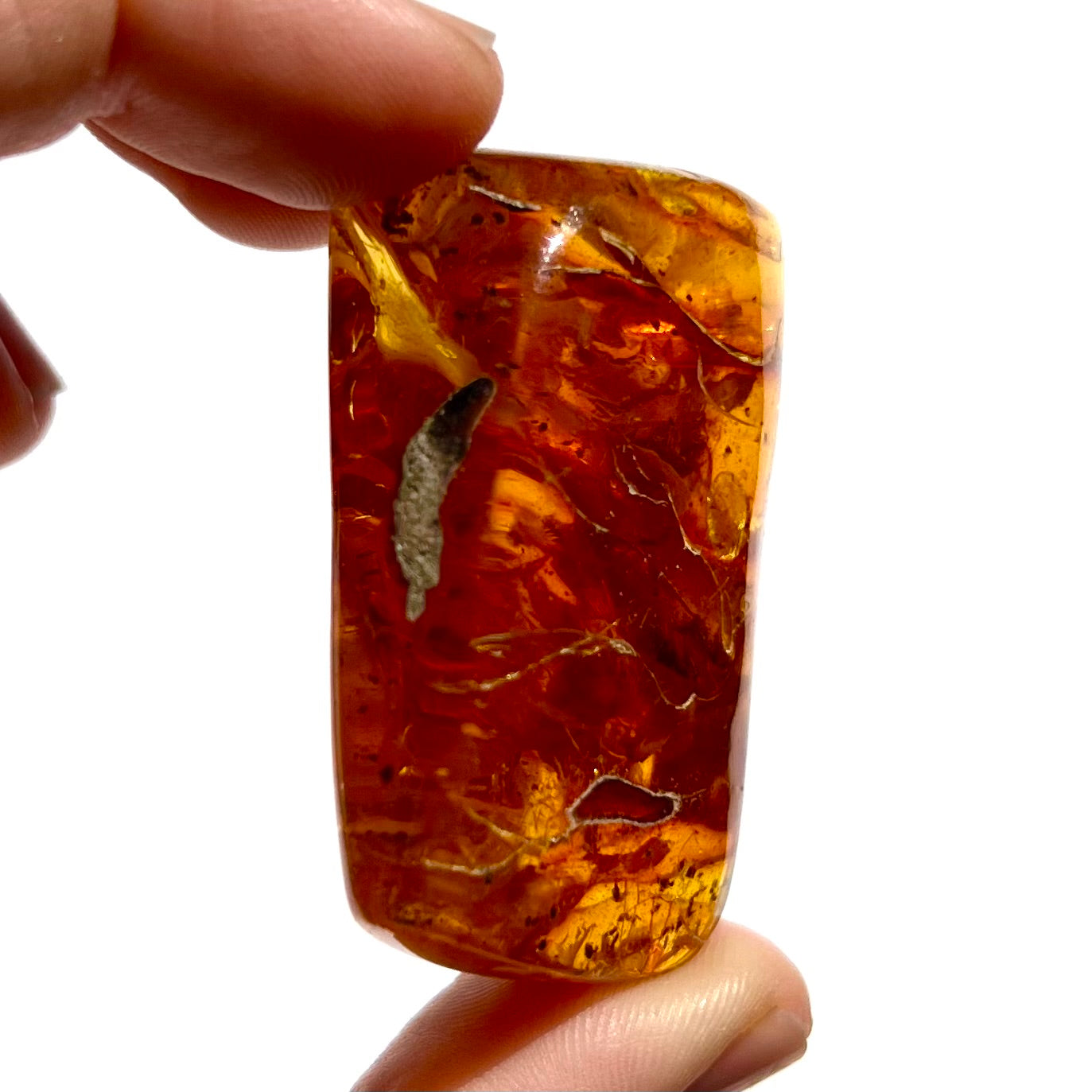 Ambre 4