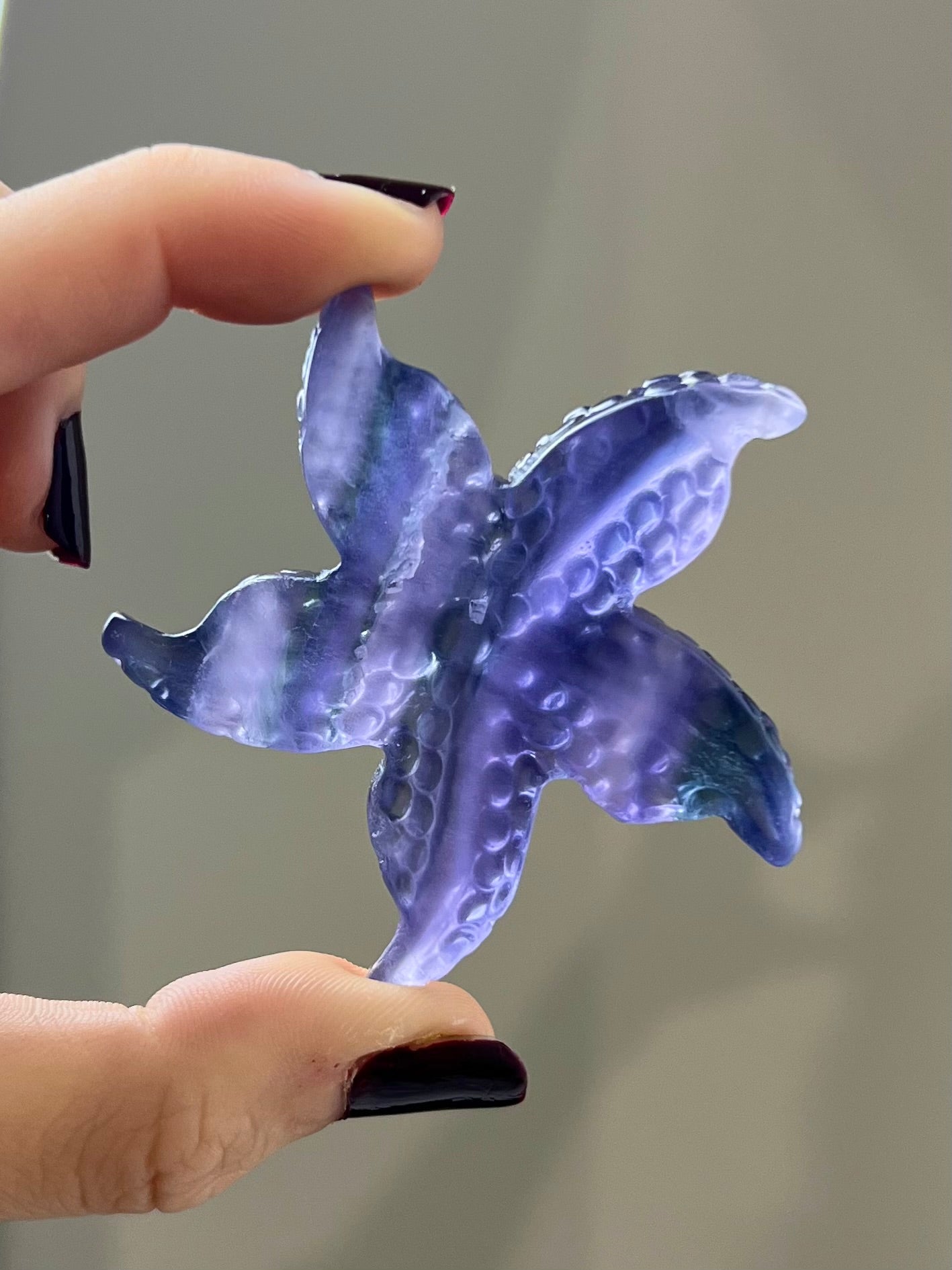 Étoile de mer en Fluorite 5