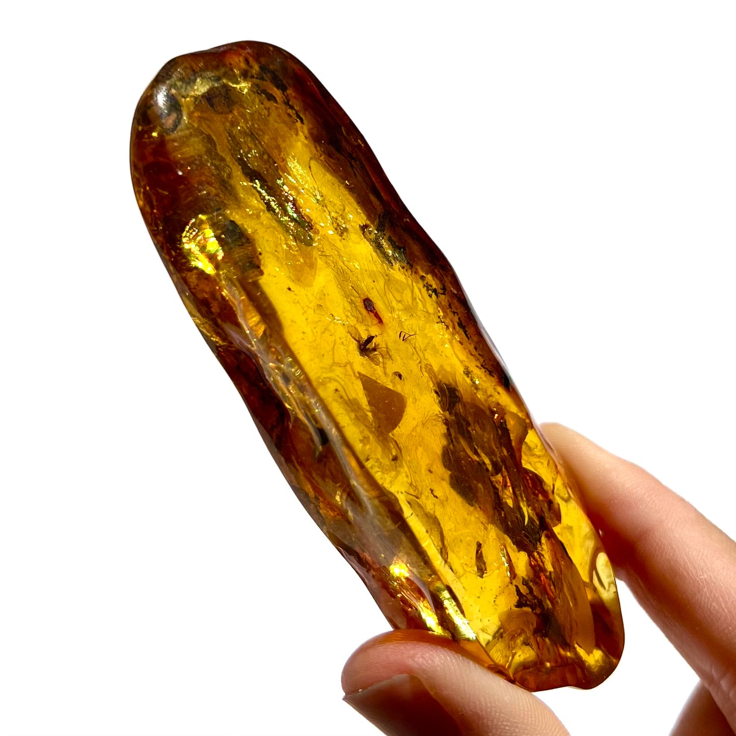 Ambre avec insecte 2