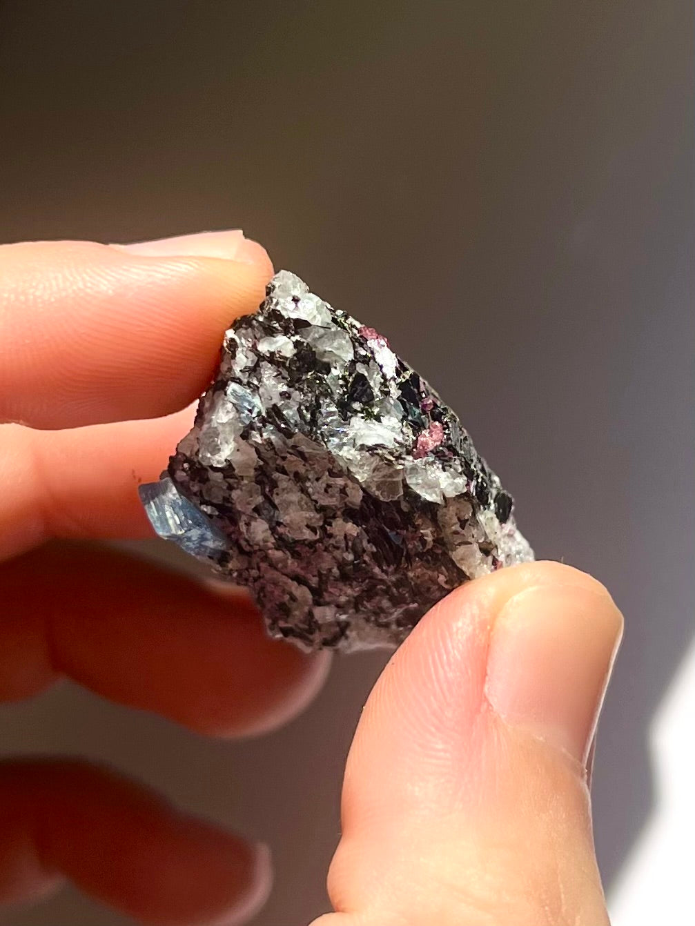 Spécimen Cyanite / Grenat / Biotite / Albite / Quartz 11