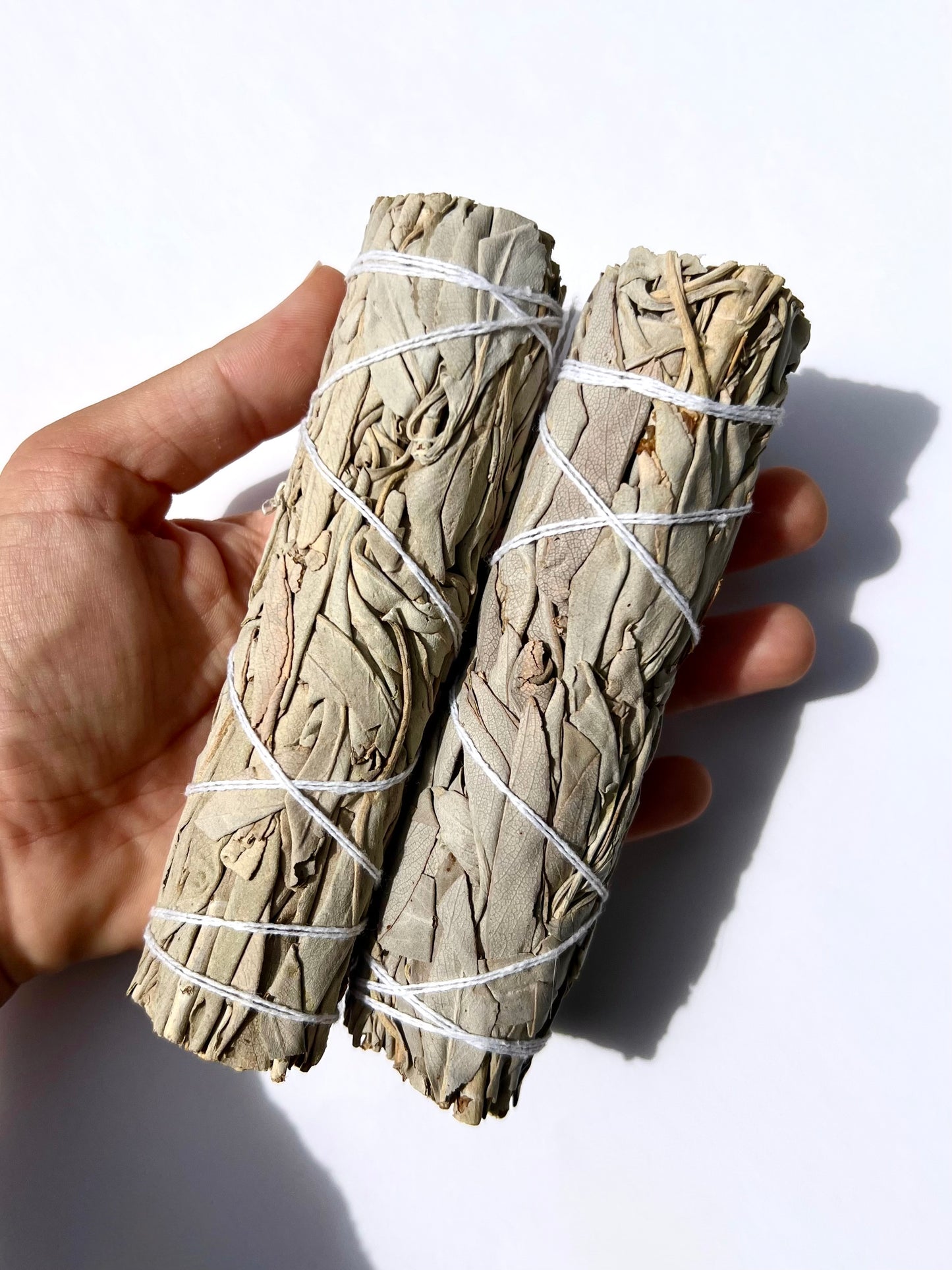 Bâton de Sauge Blanche