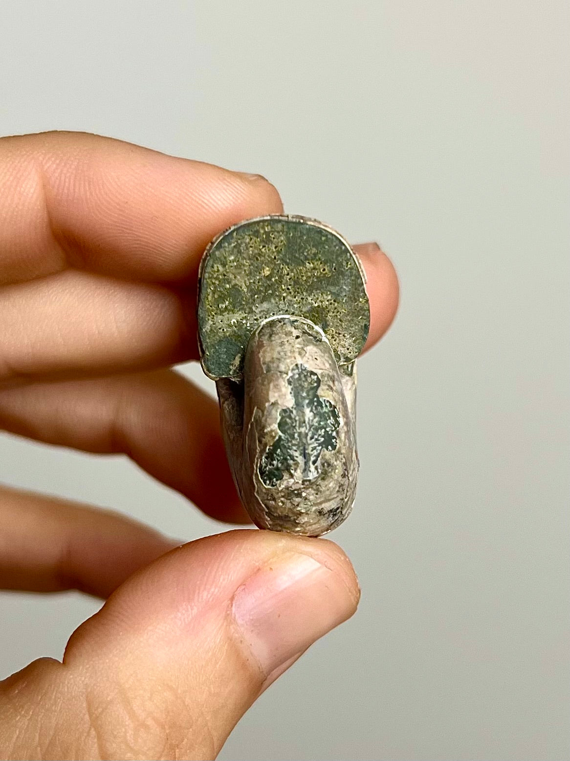 Ammonite opalisée 8