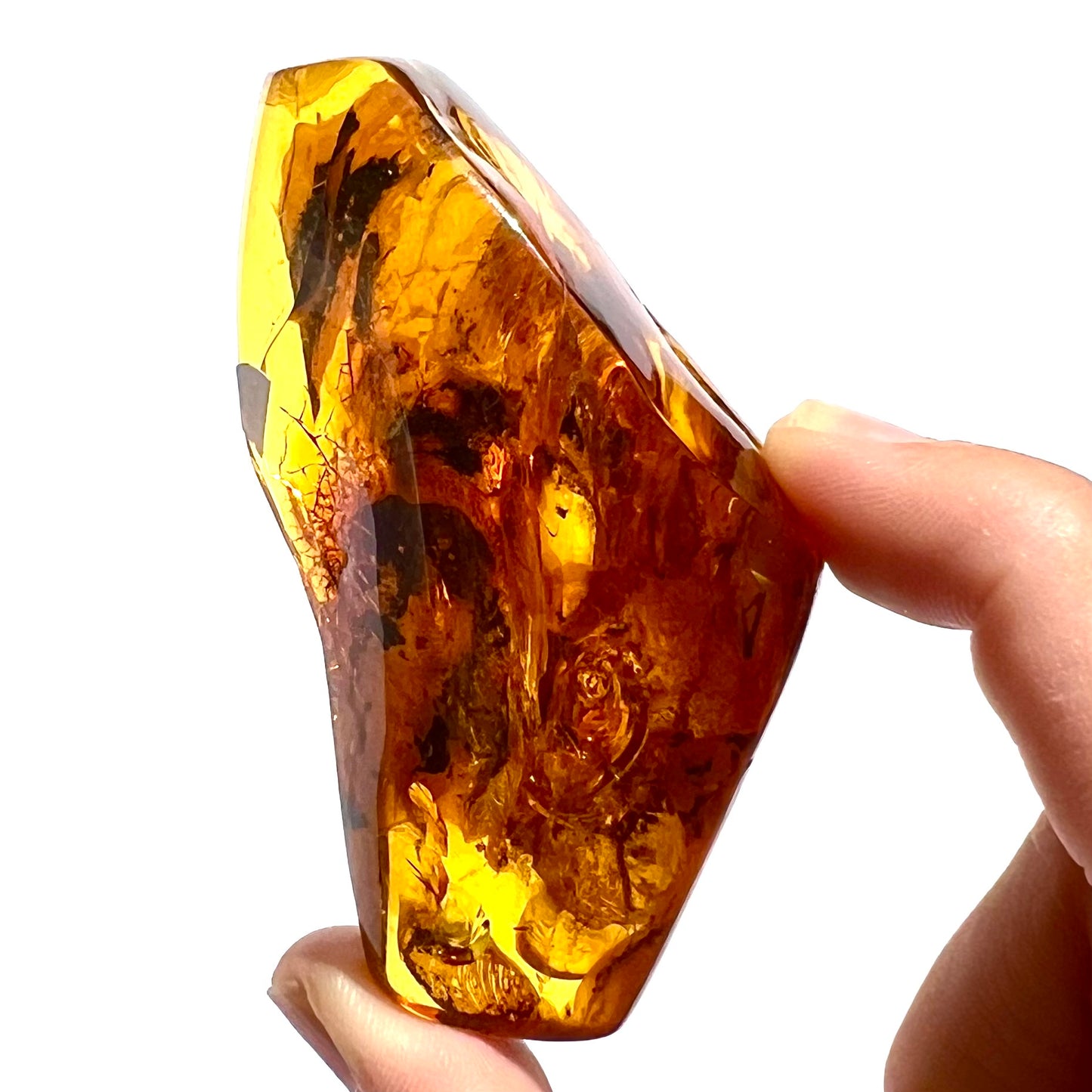 Ambre avec insecte 1