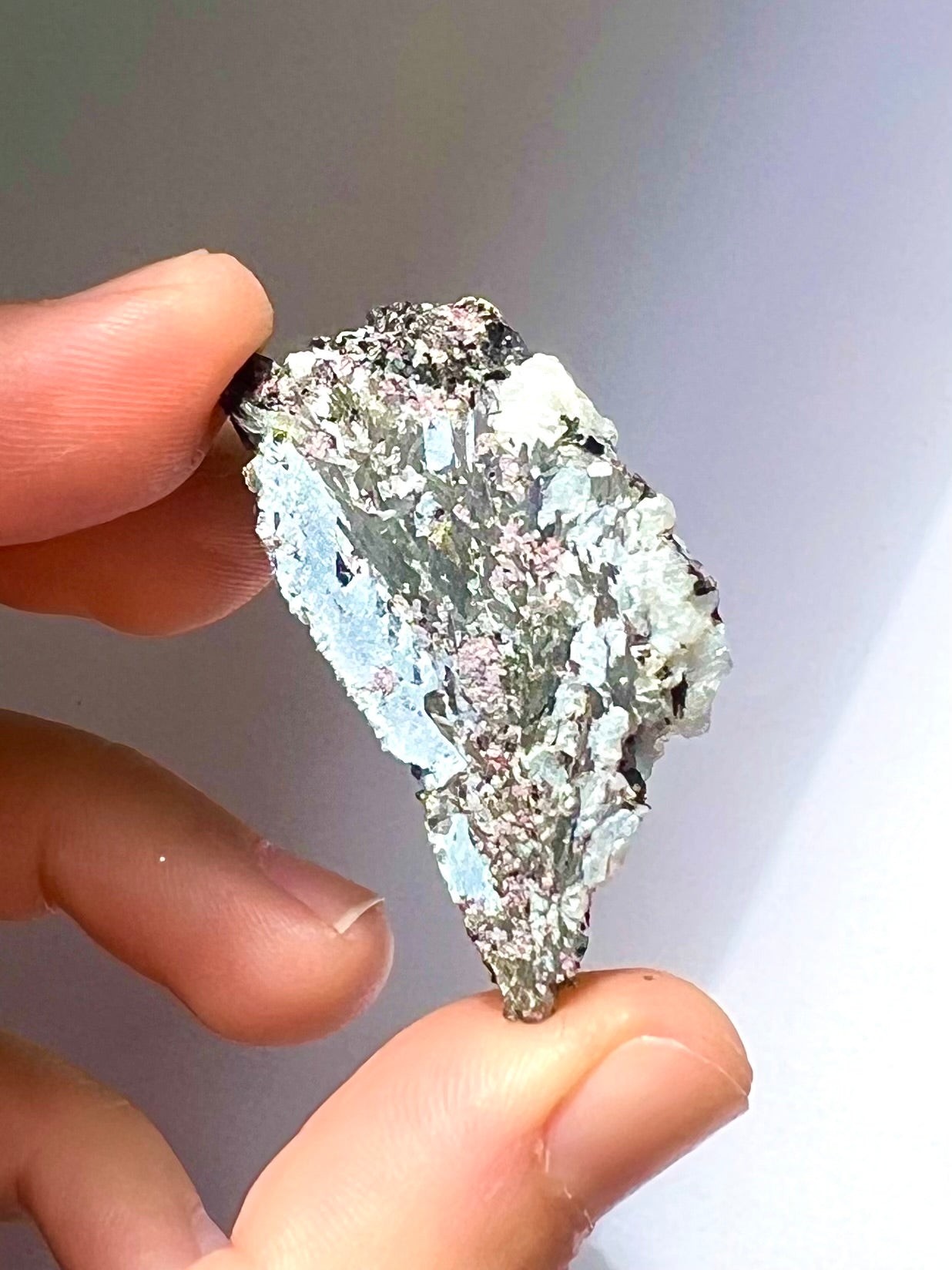 Spécimen Cyanite / Grenat / Biotite / Albite / Quartz 5