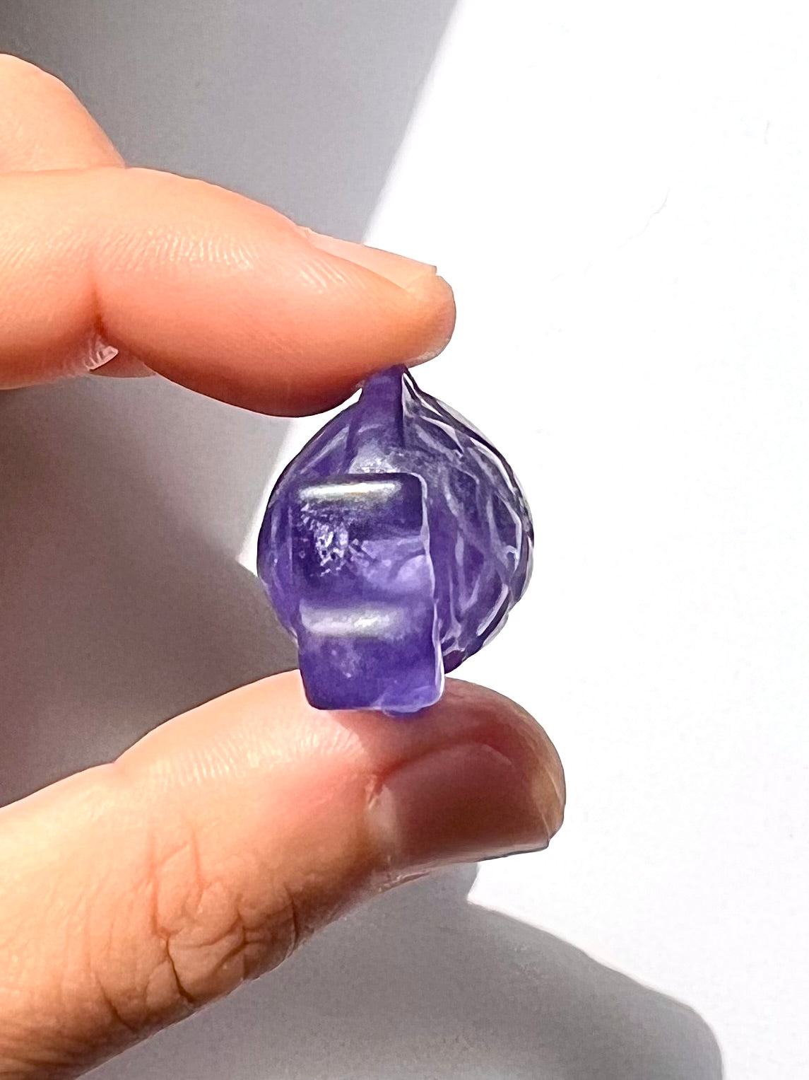Poisson de Fluorite 1