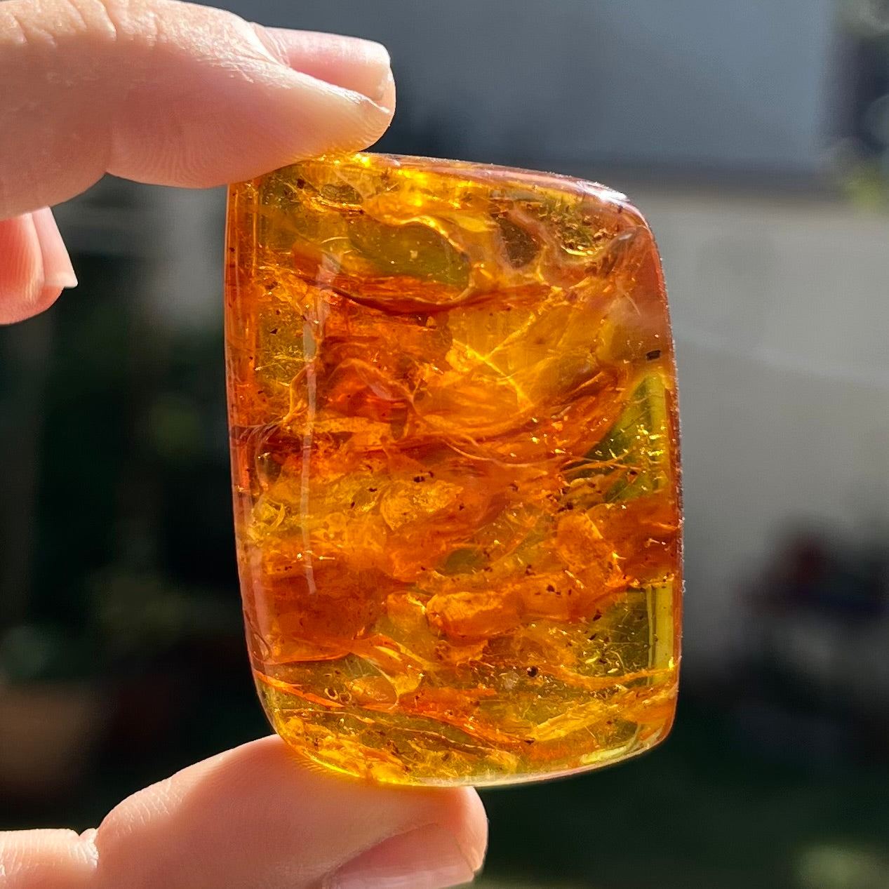 Ambre 4