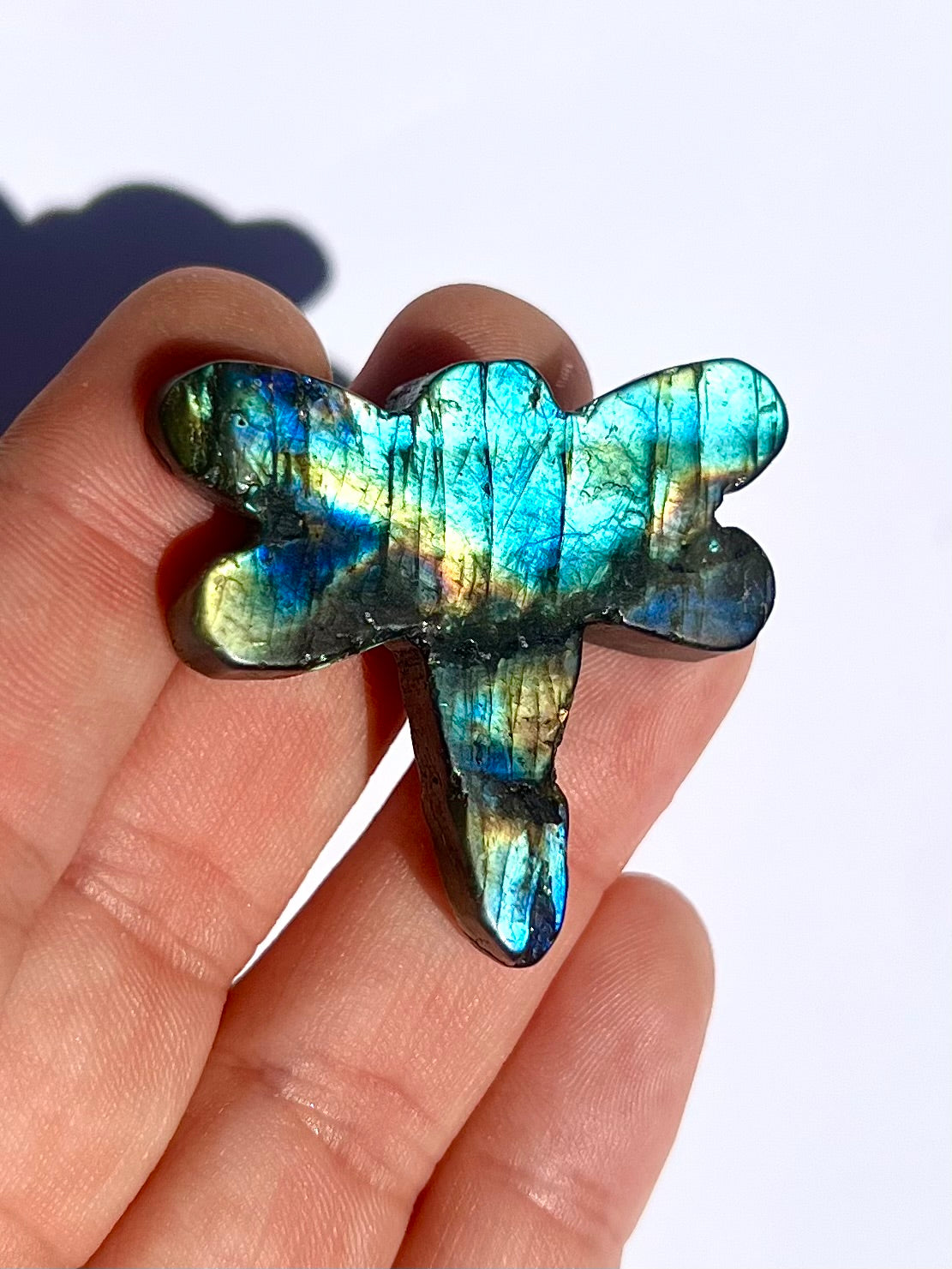 Libellule en Labradorite 5