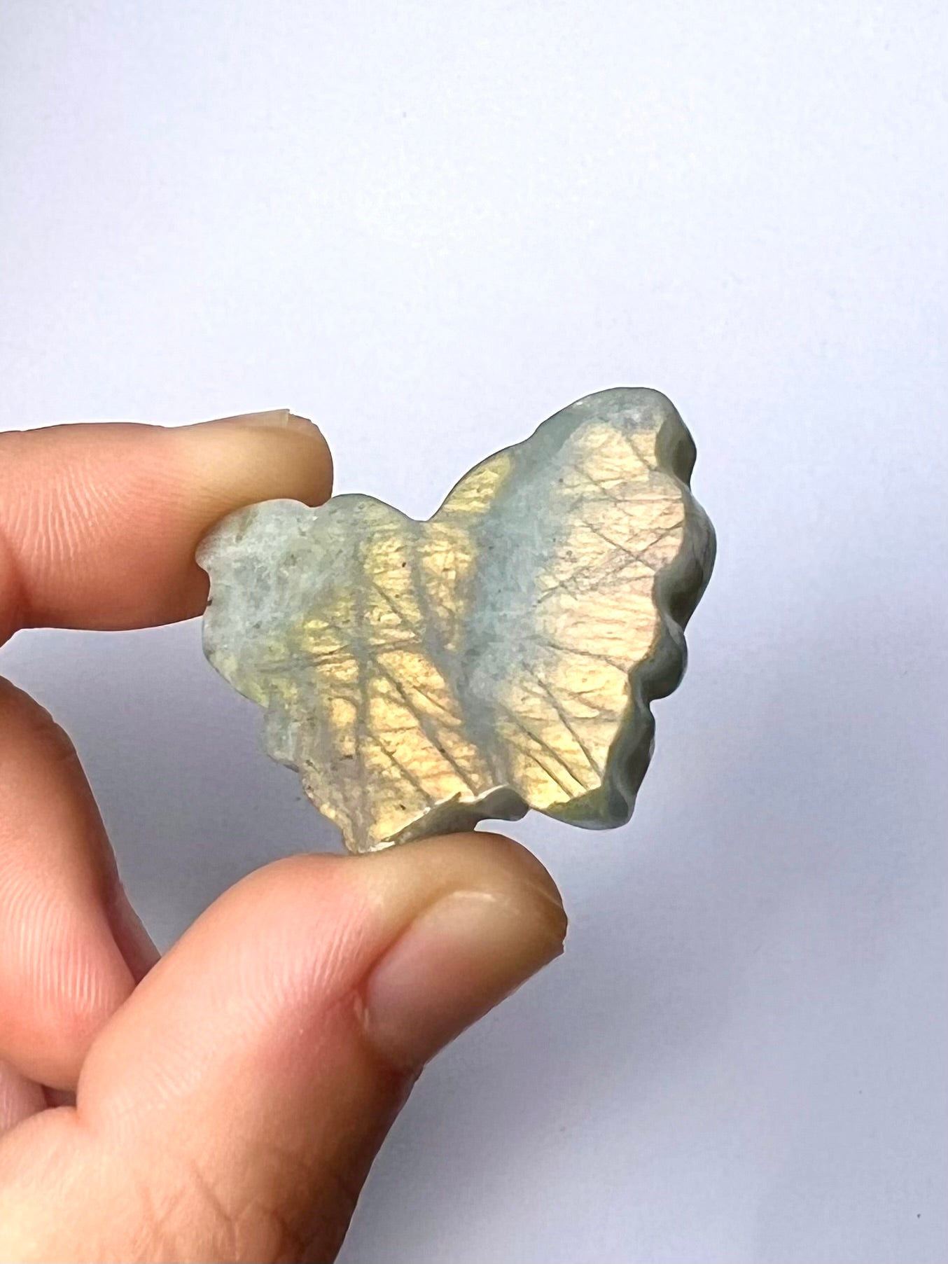 Papillon en Labradorite 2