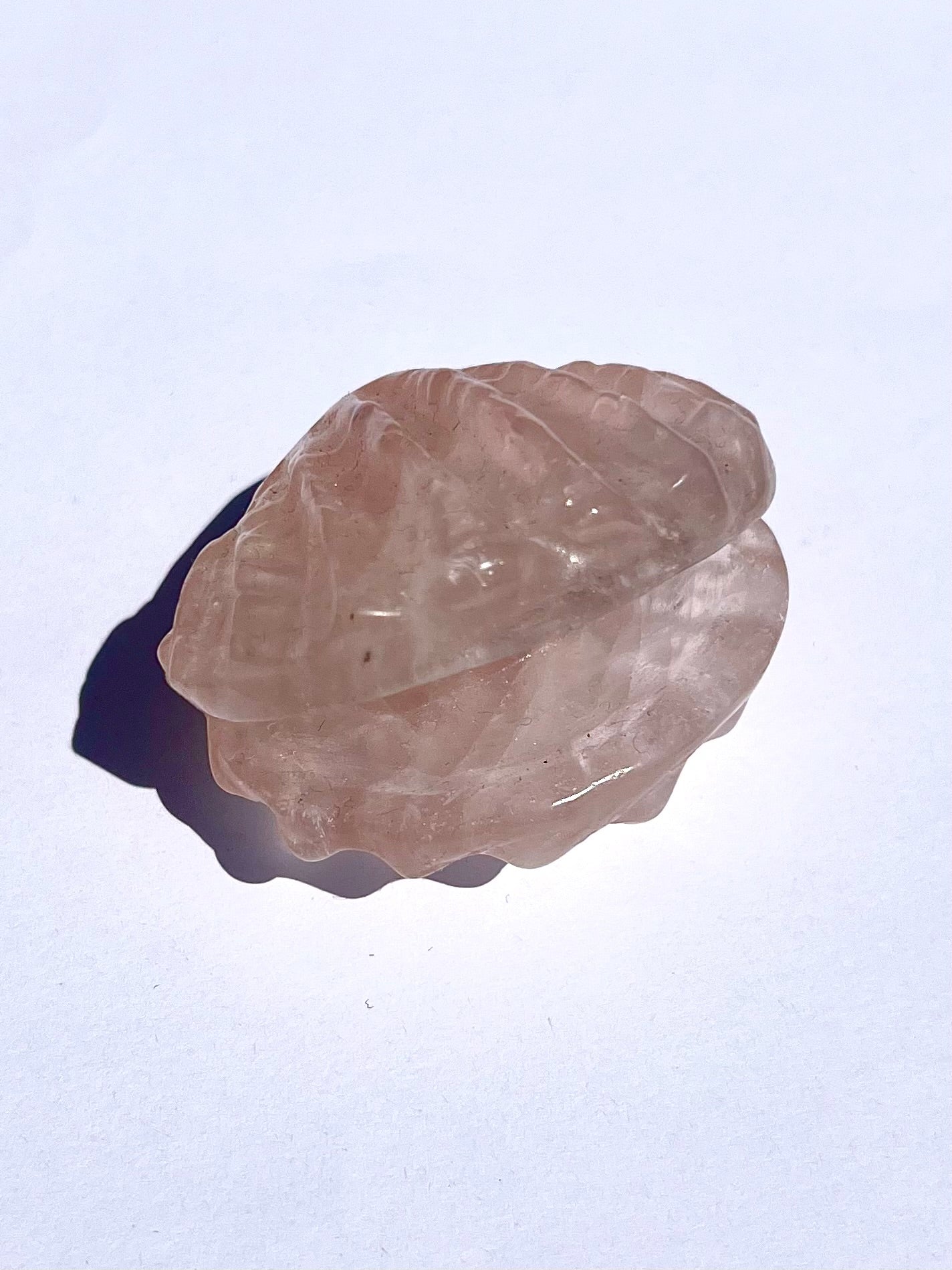 Coquillage en Quartz rose 2