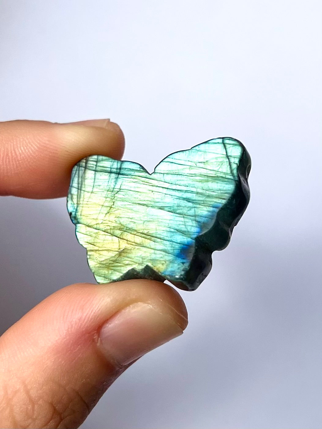 Papillon en Labradorite 3