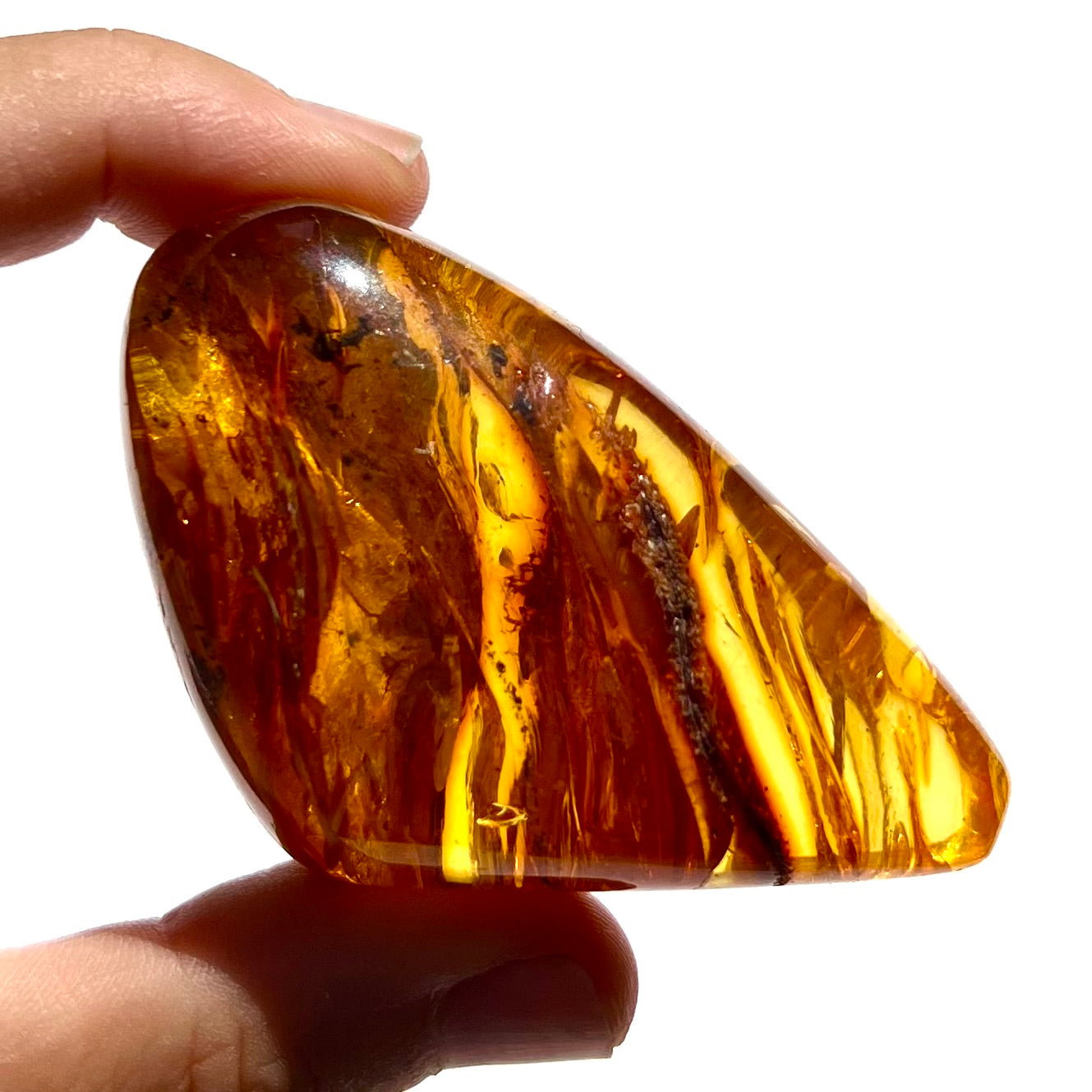 Ambre avec insecte 5