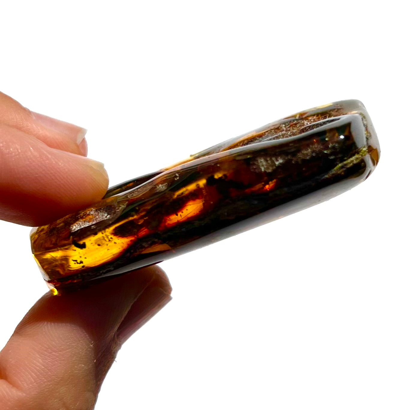 Ambre avec insecte 6