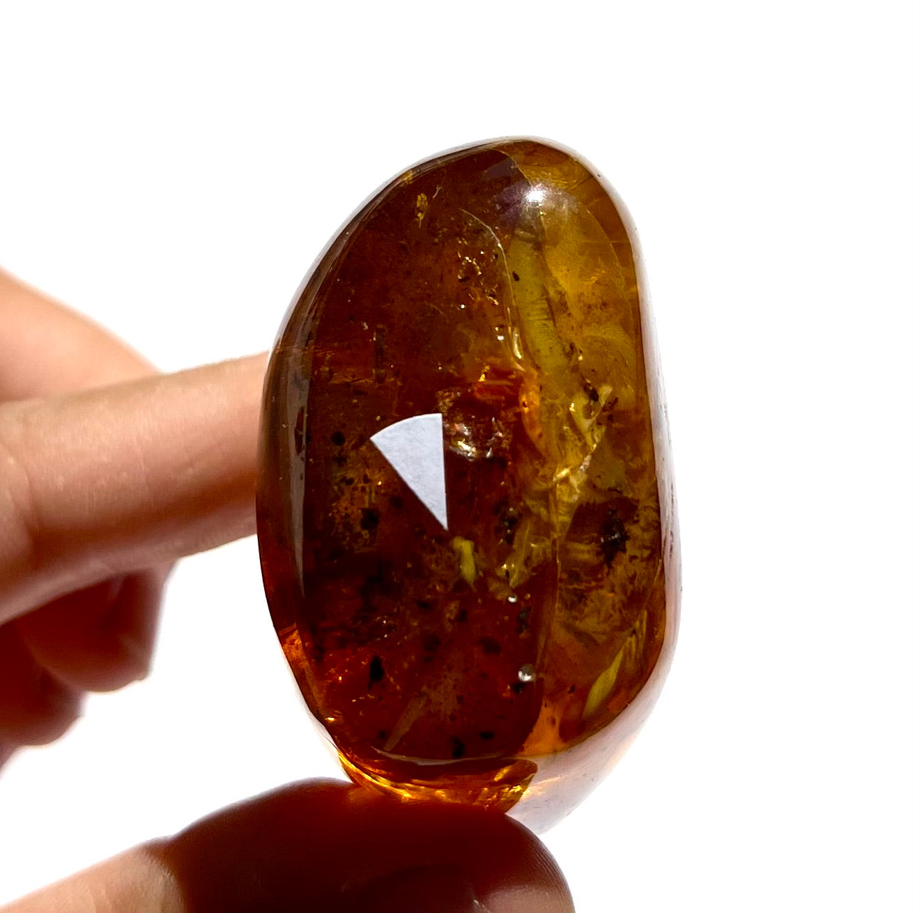 Ambre avec insecte 5