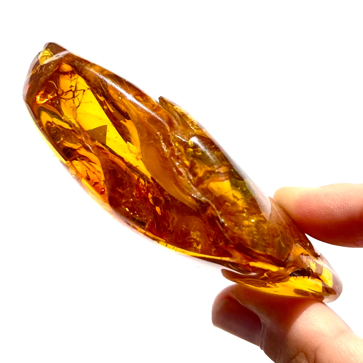 Ambre avec insecte 1