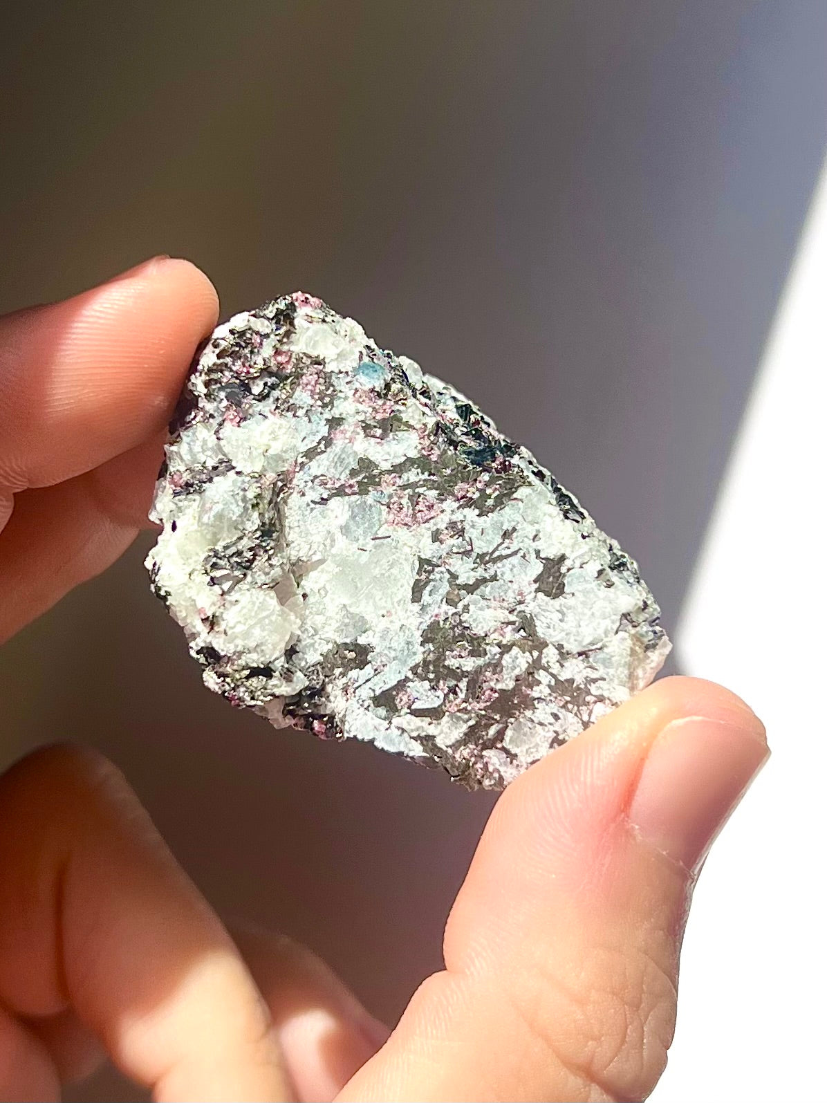 Spécimen Cyanite / Grenat / Biotite / Albite / Quartz 9