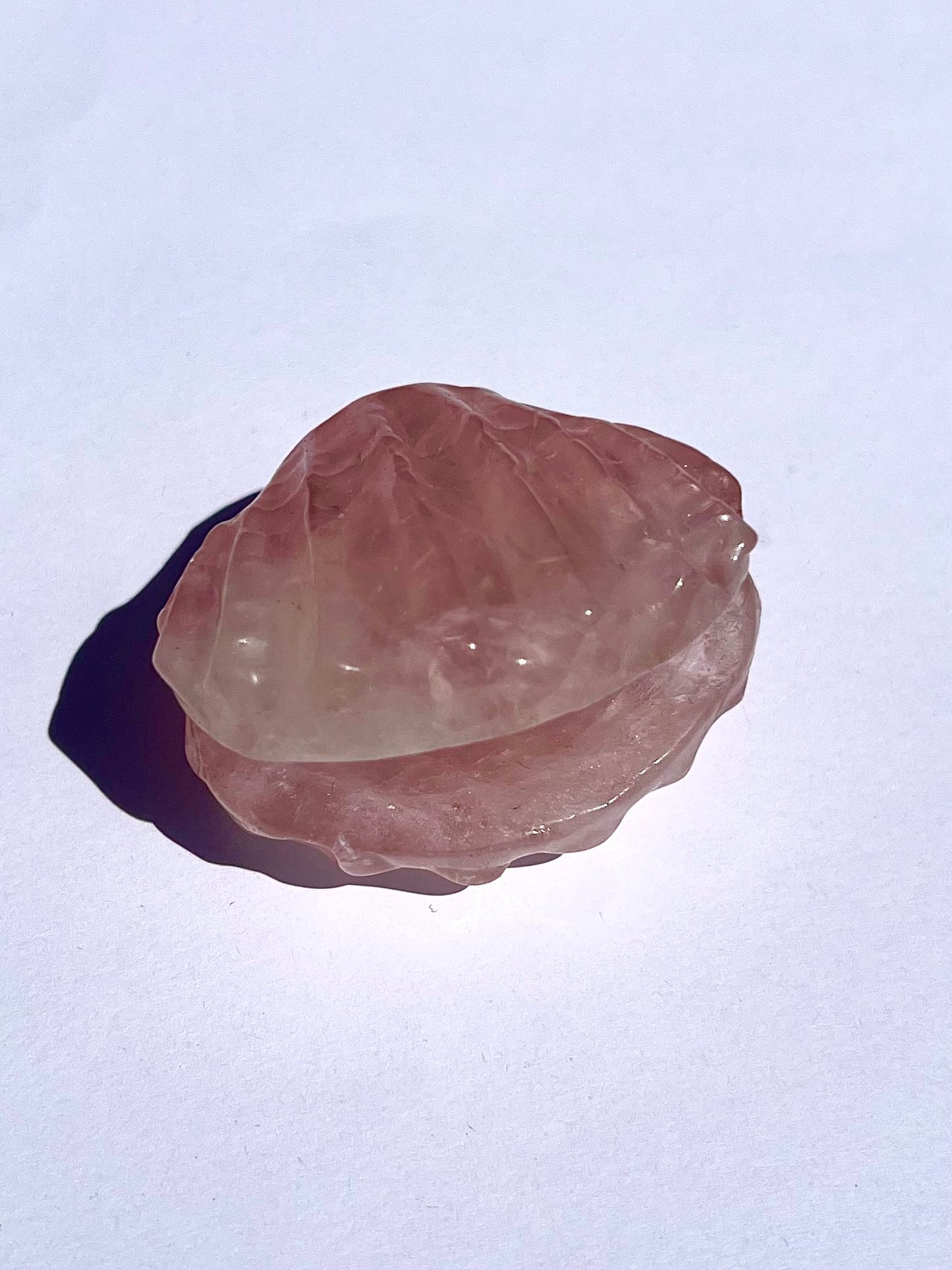 Coquillage en Quartz rose 1