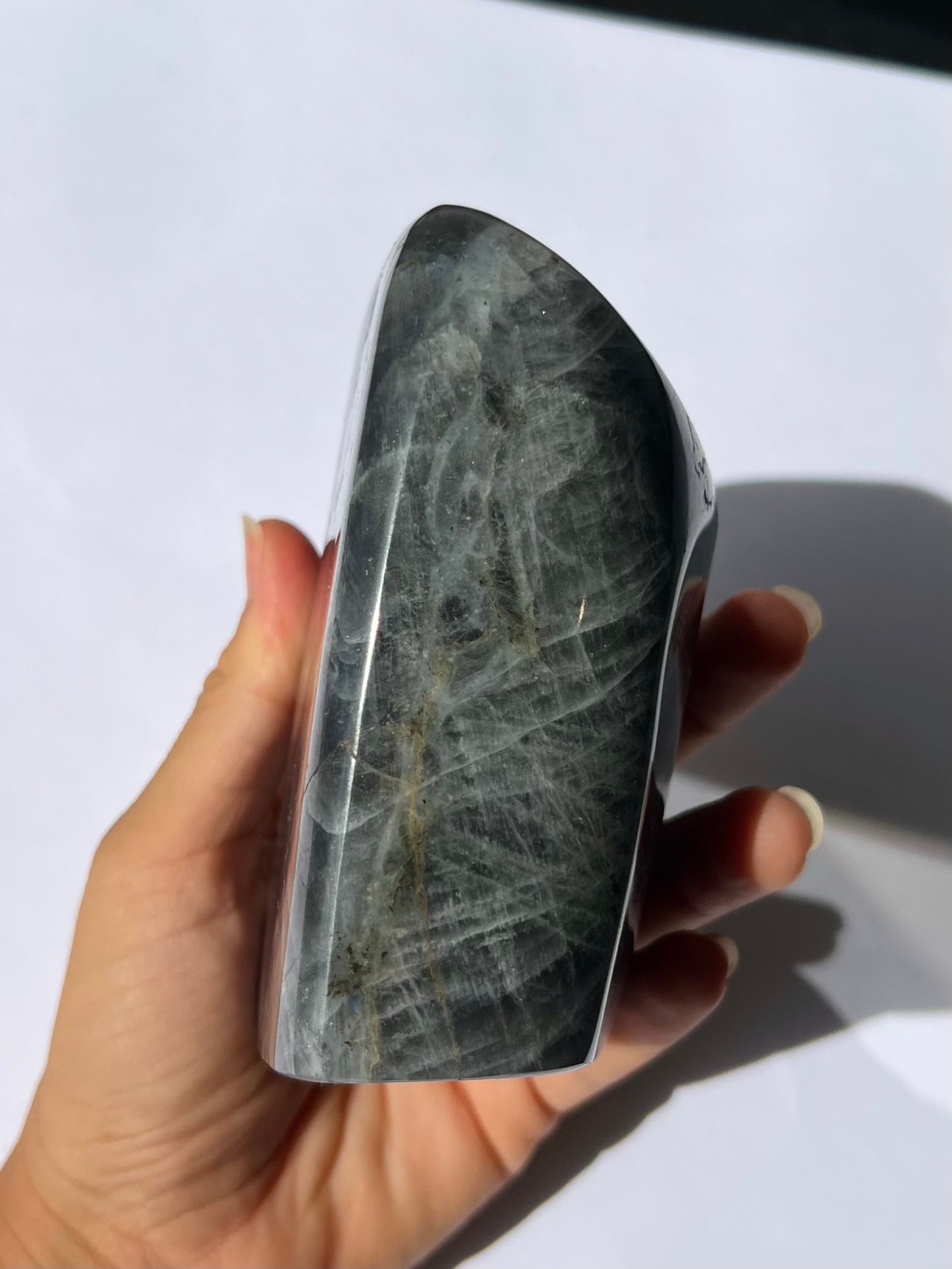 Forme libre Labradorite 10