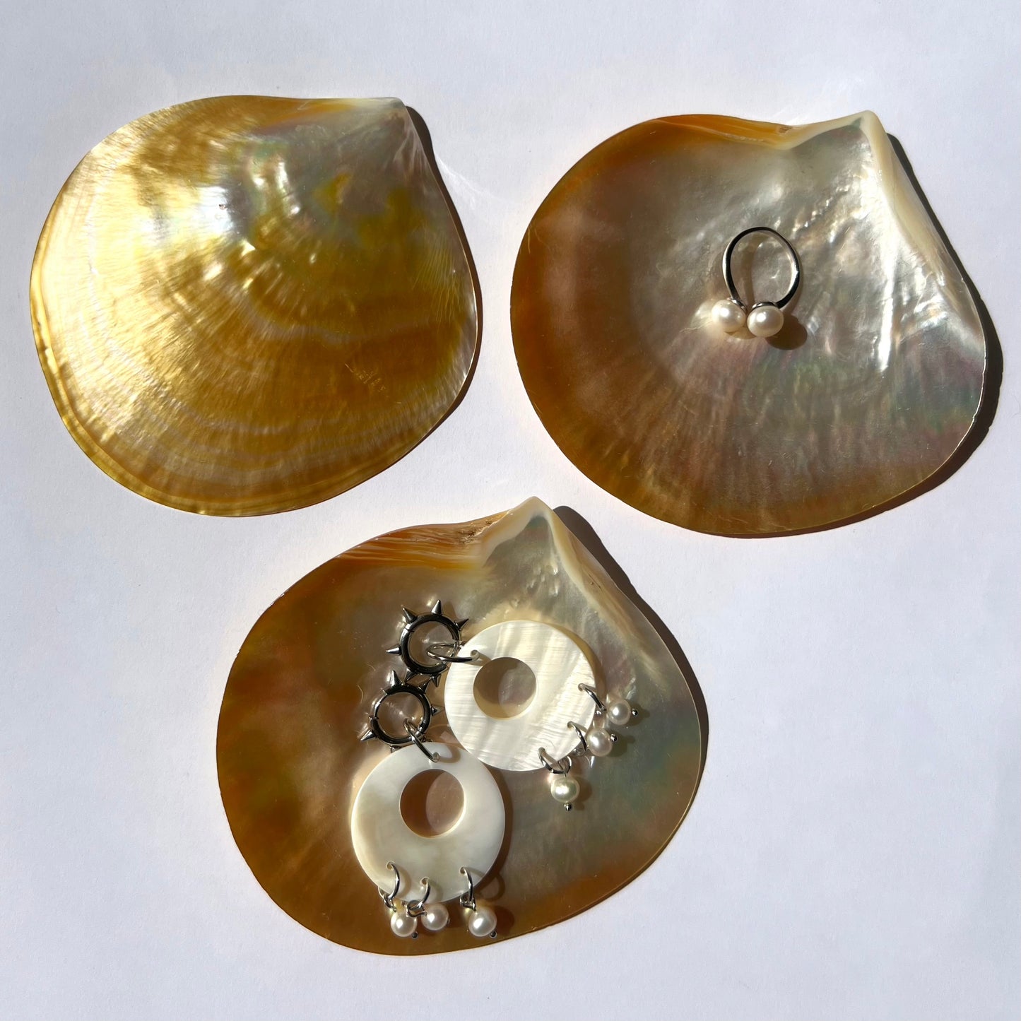 Coquillage nacré doré des mers du Sud