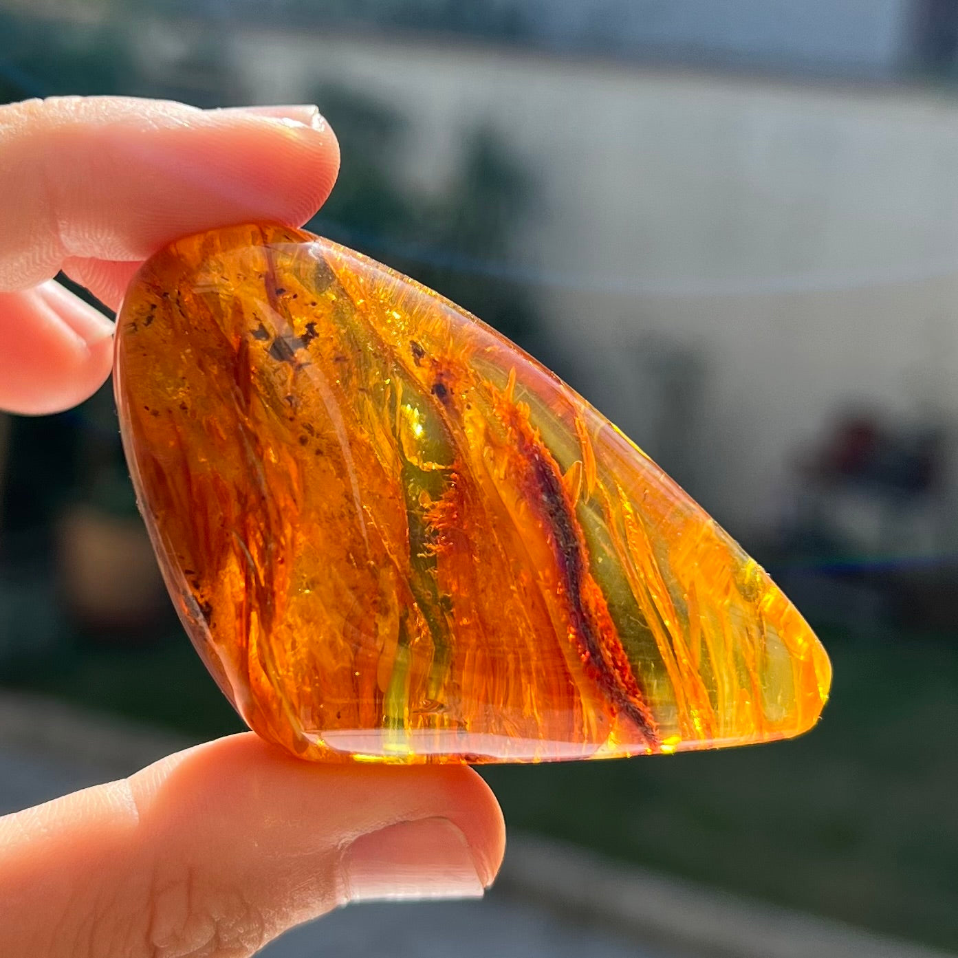 Ambre avec insecte 5
