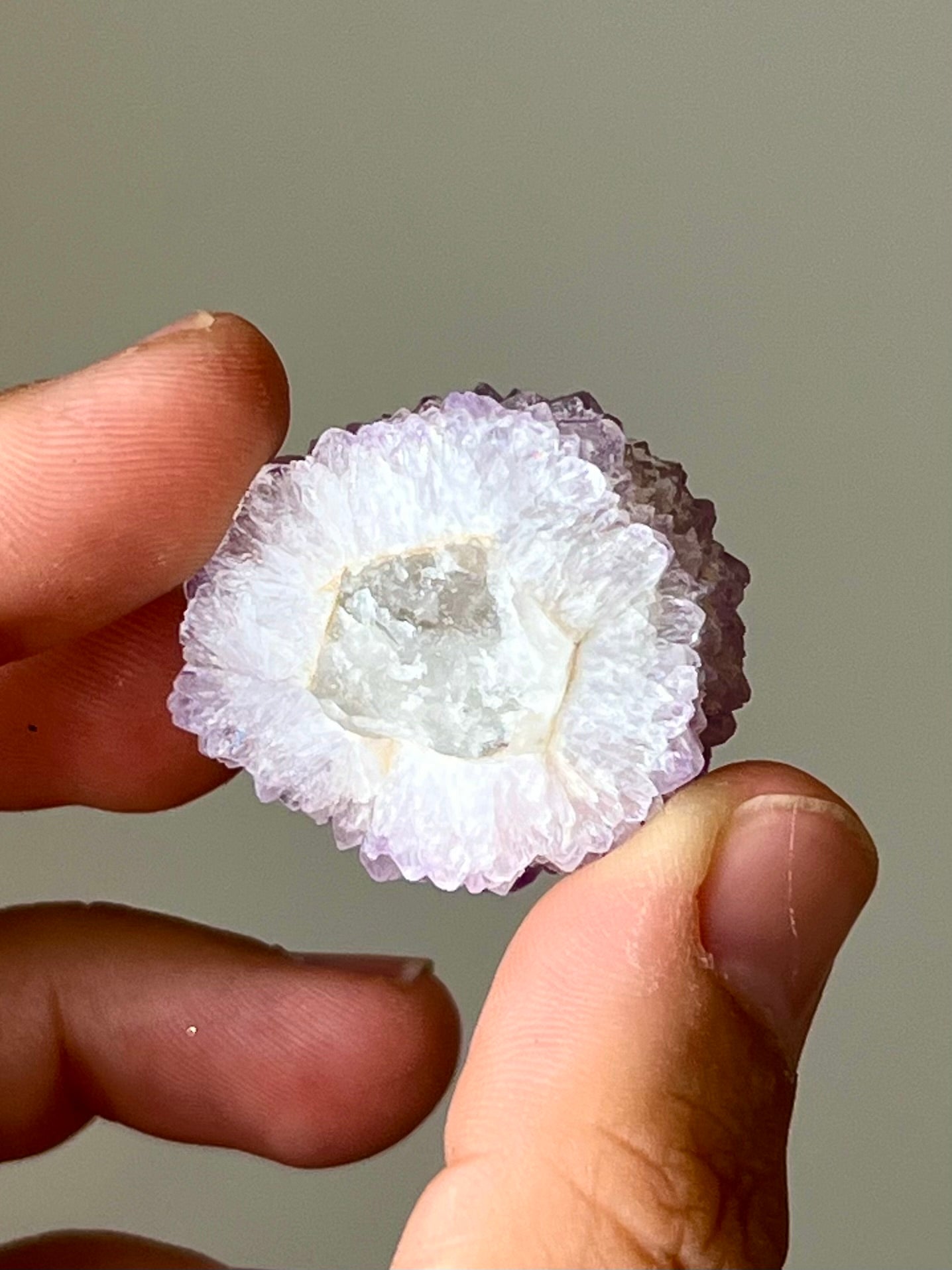 Améthyste cactus brute 1