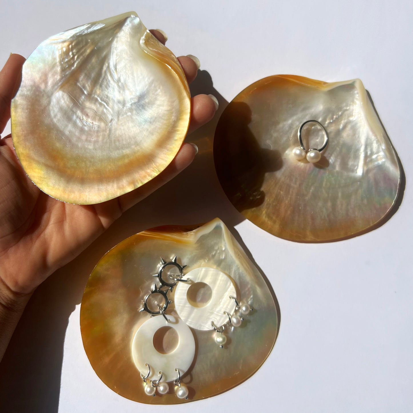 Coquillage nacré doré des mers du Sud