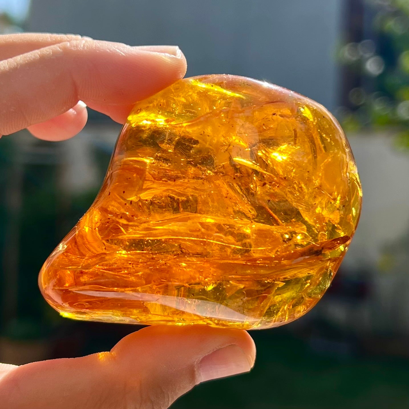 Ambre 1