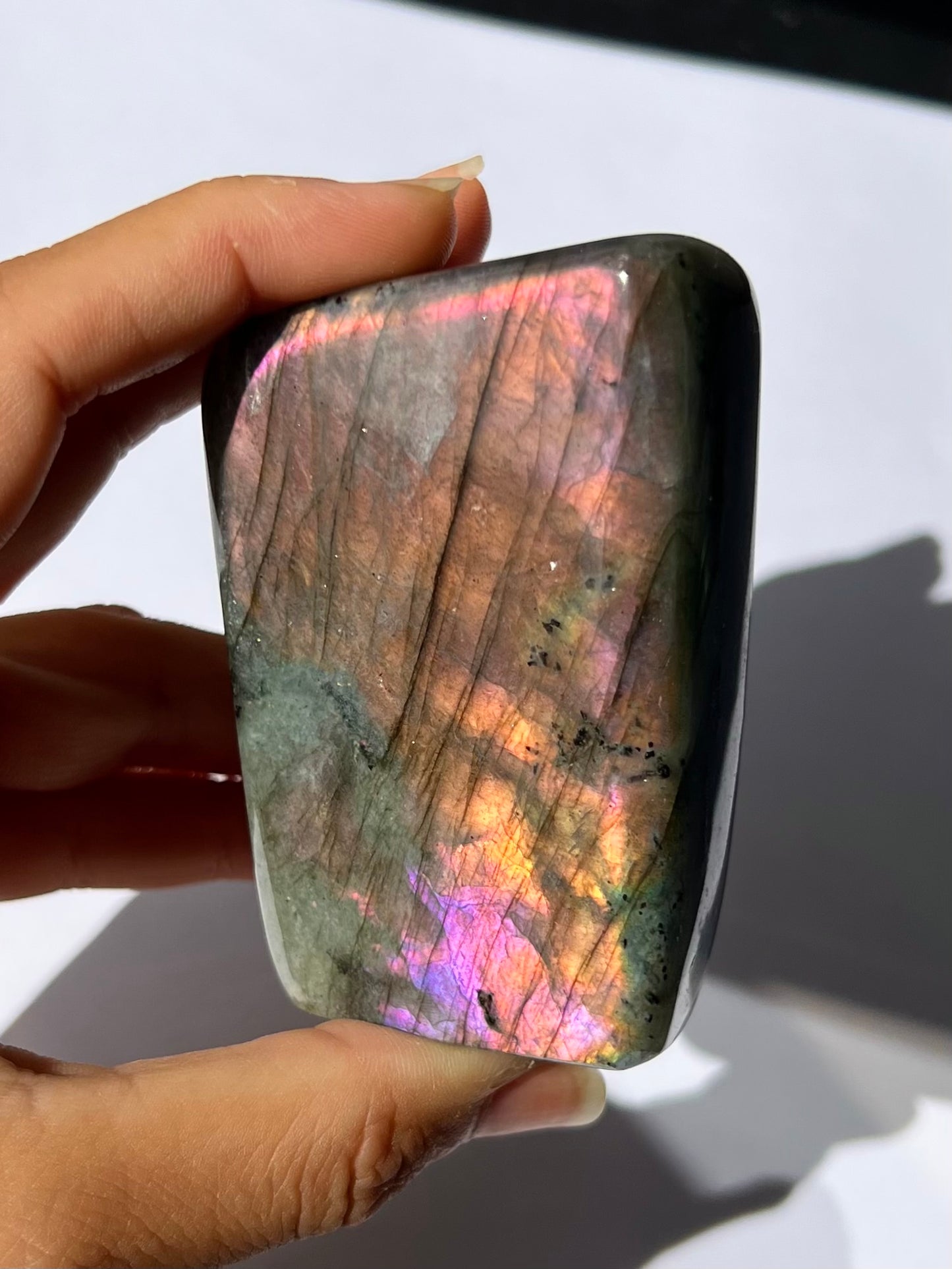 Forme libre Labradorite 6