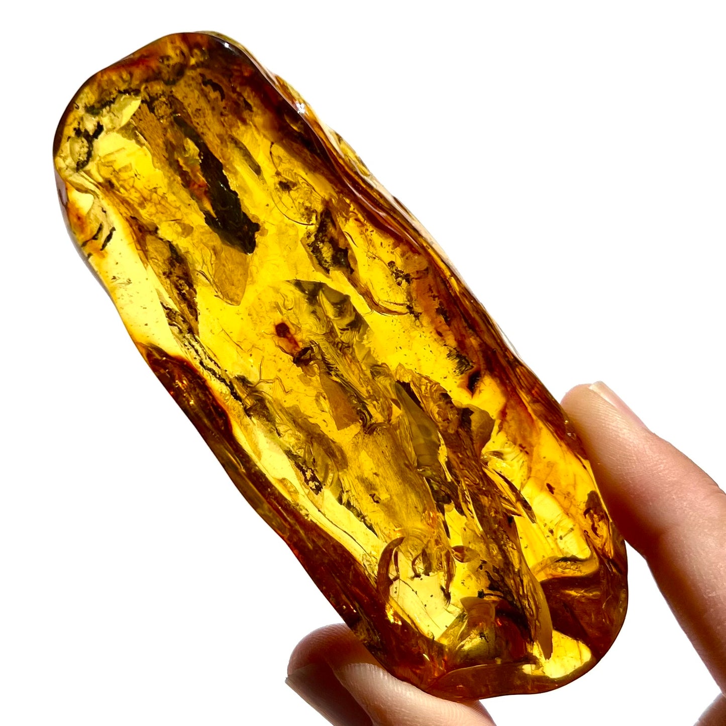 Ambre avec insecte 2