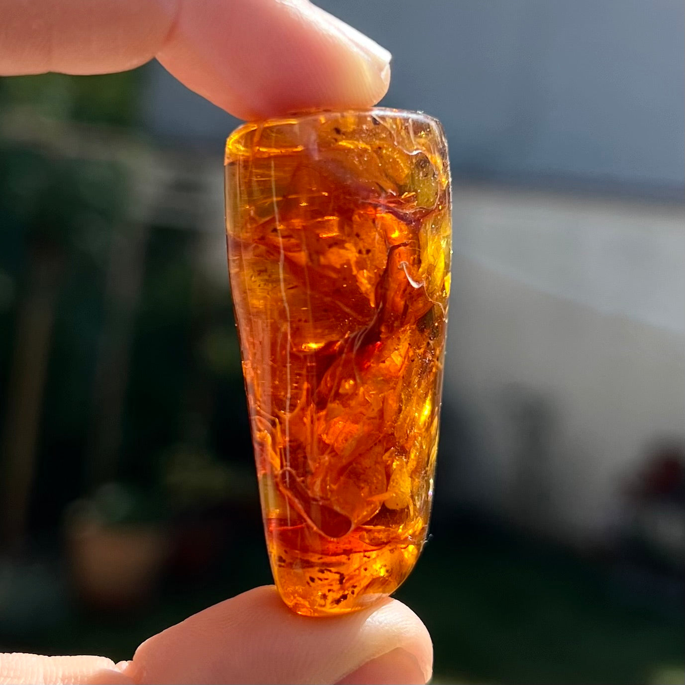 Ambre 4