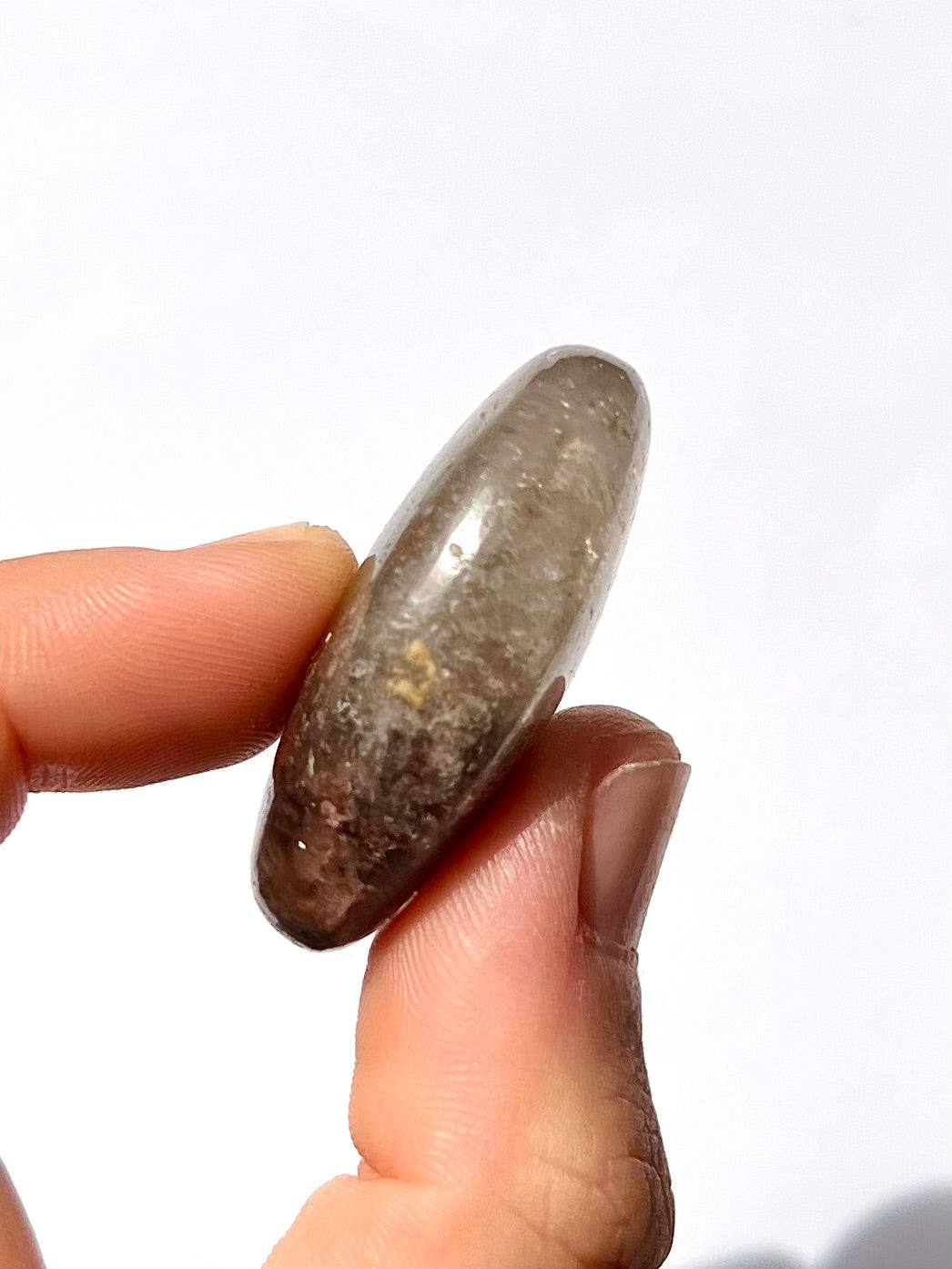 Galet de Lodolite / Quartz jardin 1