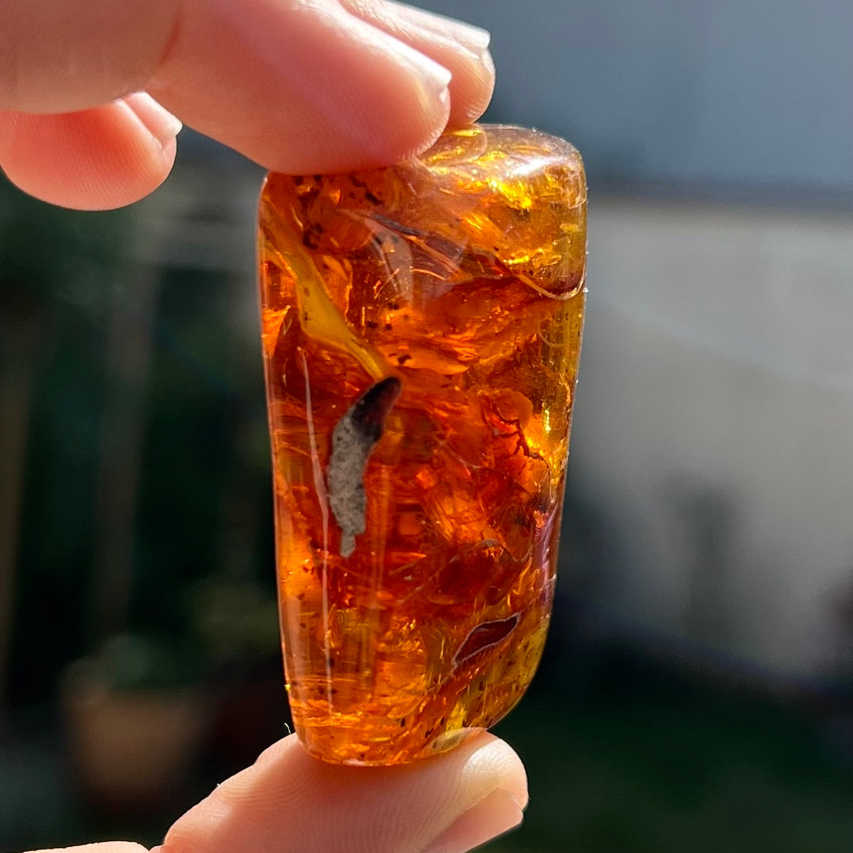 Ambre 4