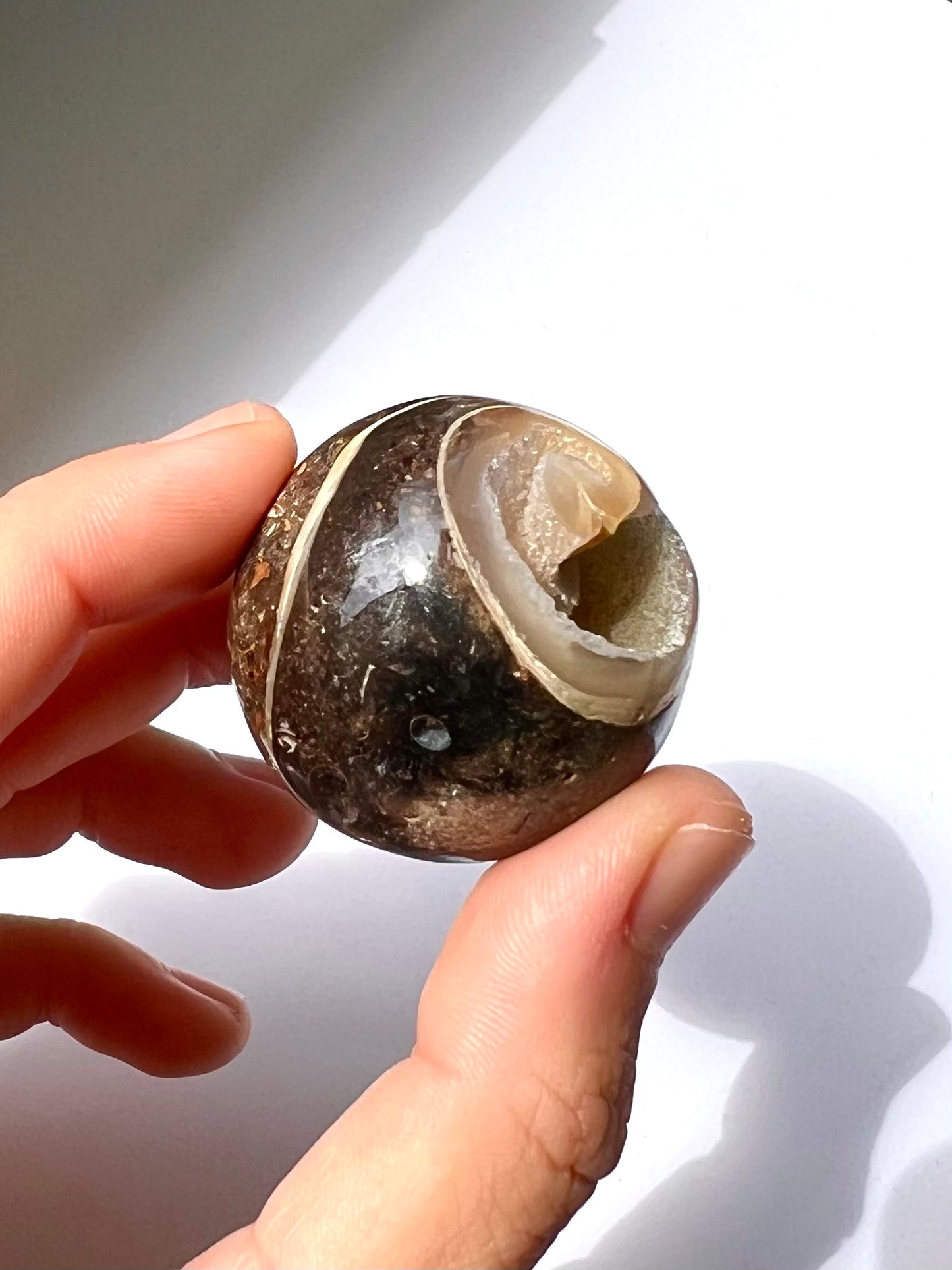Sphère en Agate fossile Turitelle 1
