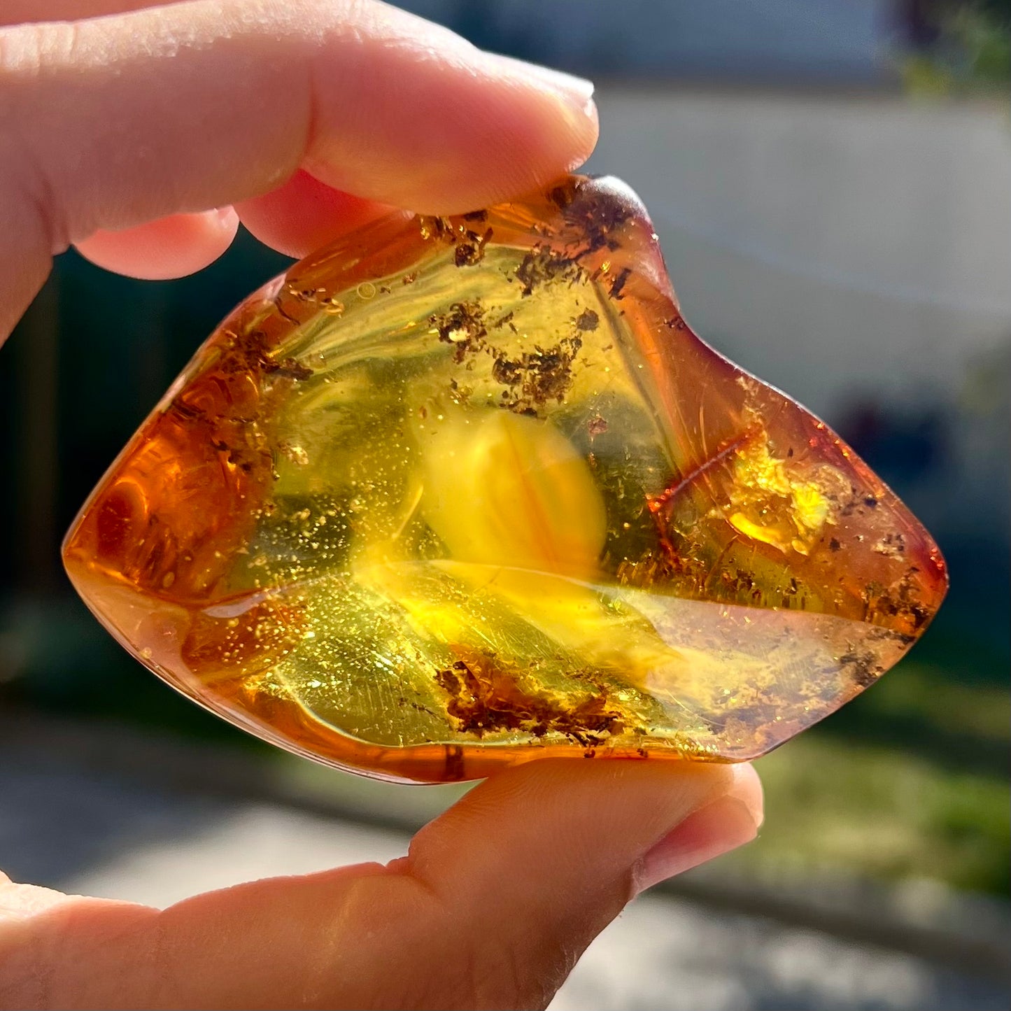 Ambre 3