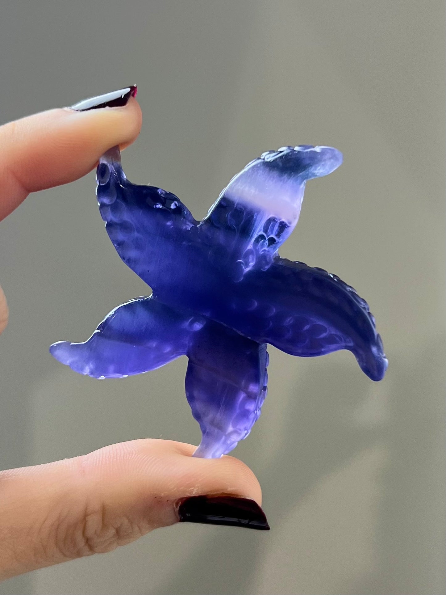 Étoile de mer en Fluorite 3