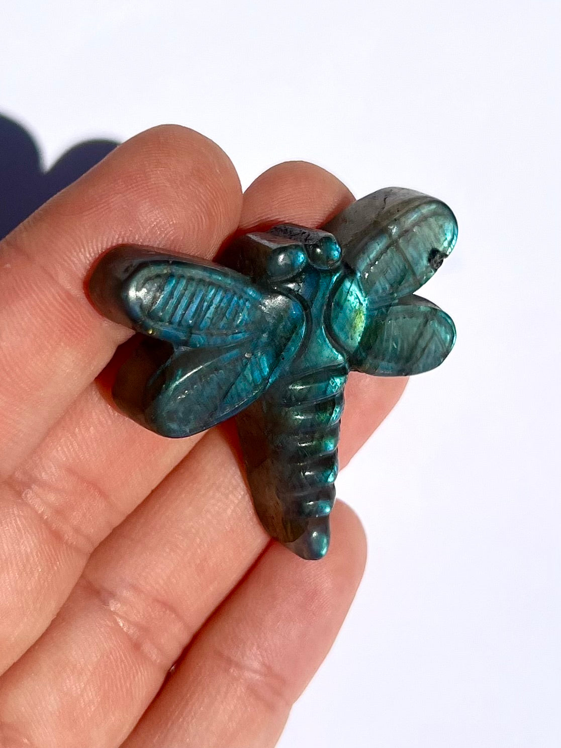 Libellule en Labradorite 4