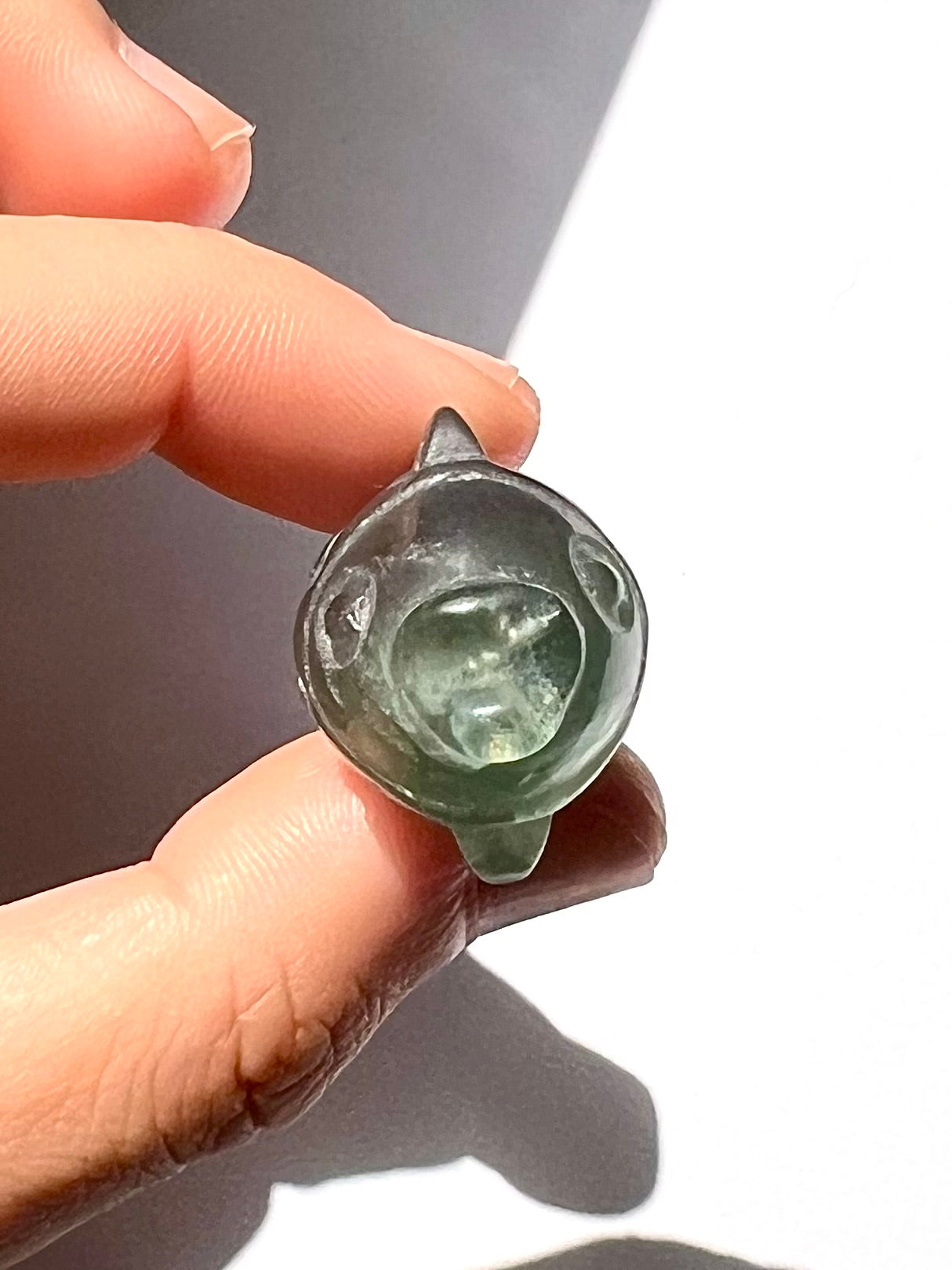 Poisson de Fluorite 4