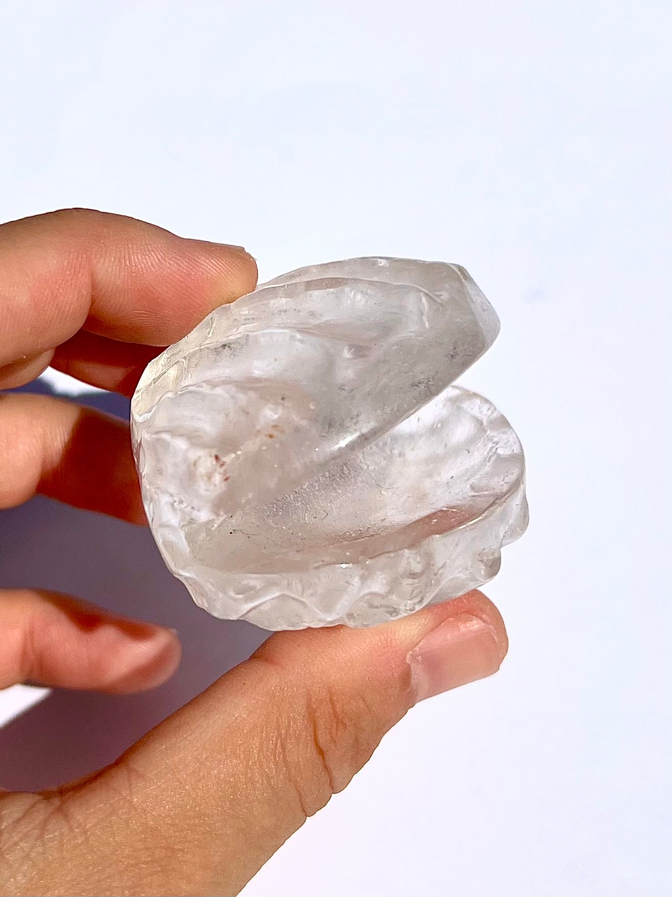 Coquillage en Cristal de roche 2