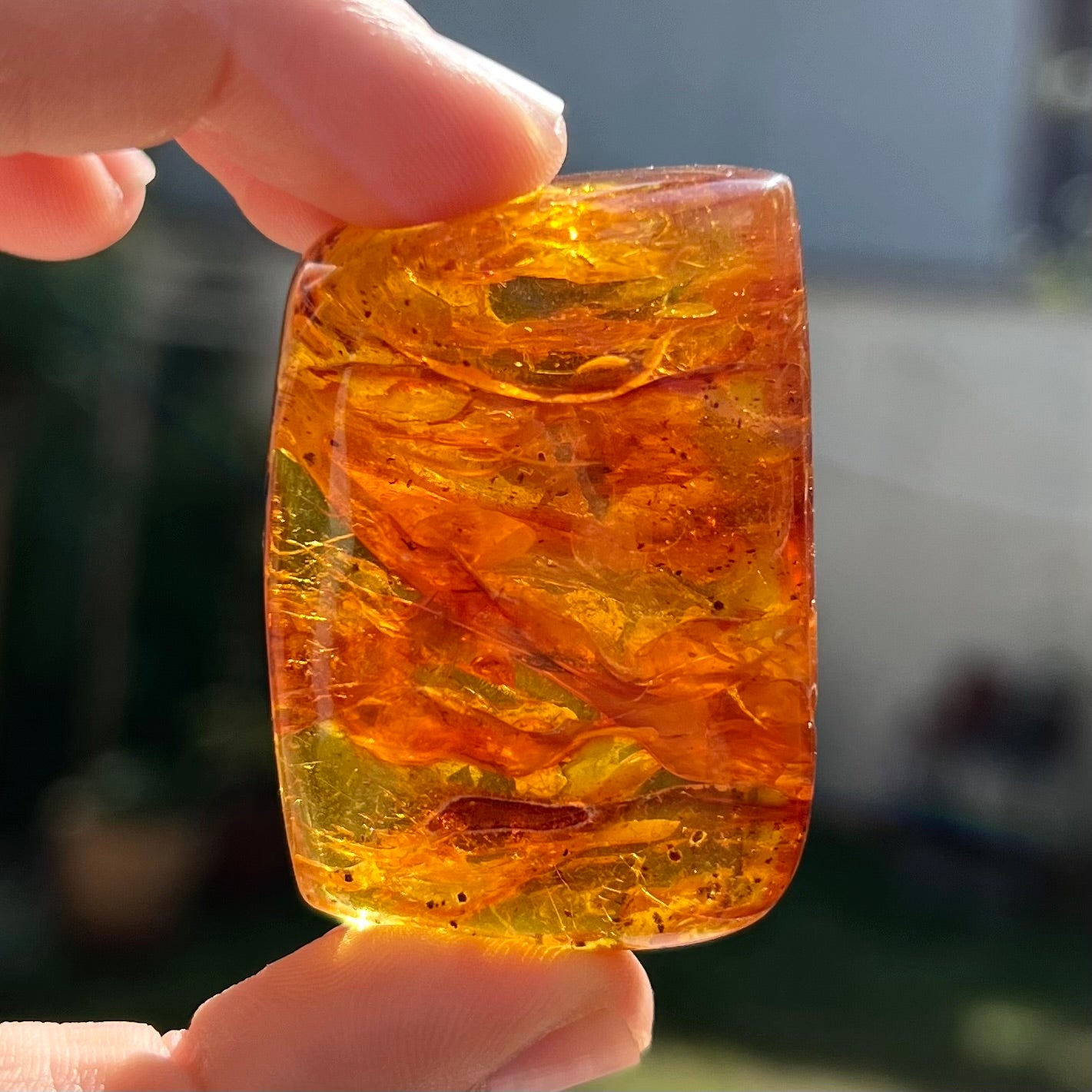 Ambre 4