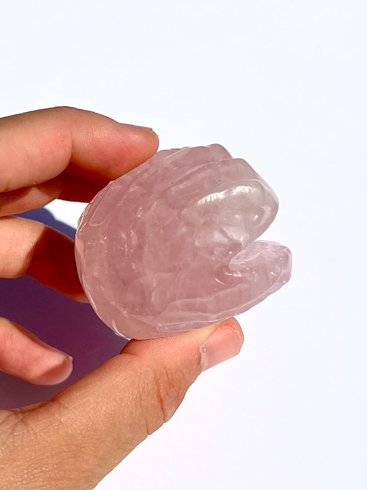 Coquillage en Quartz rose 1