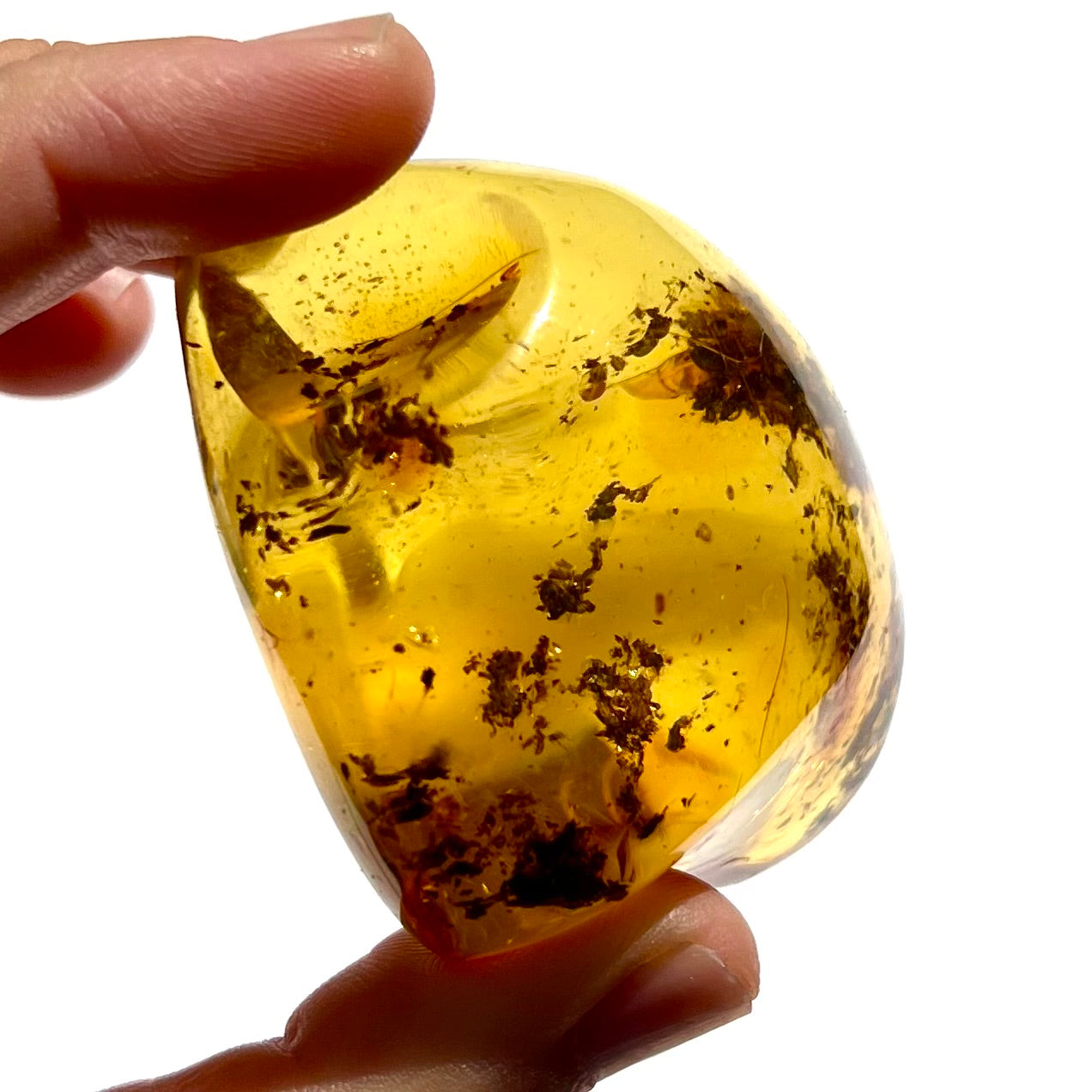 Ambre 3