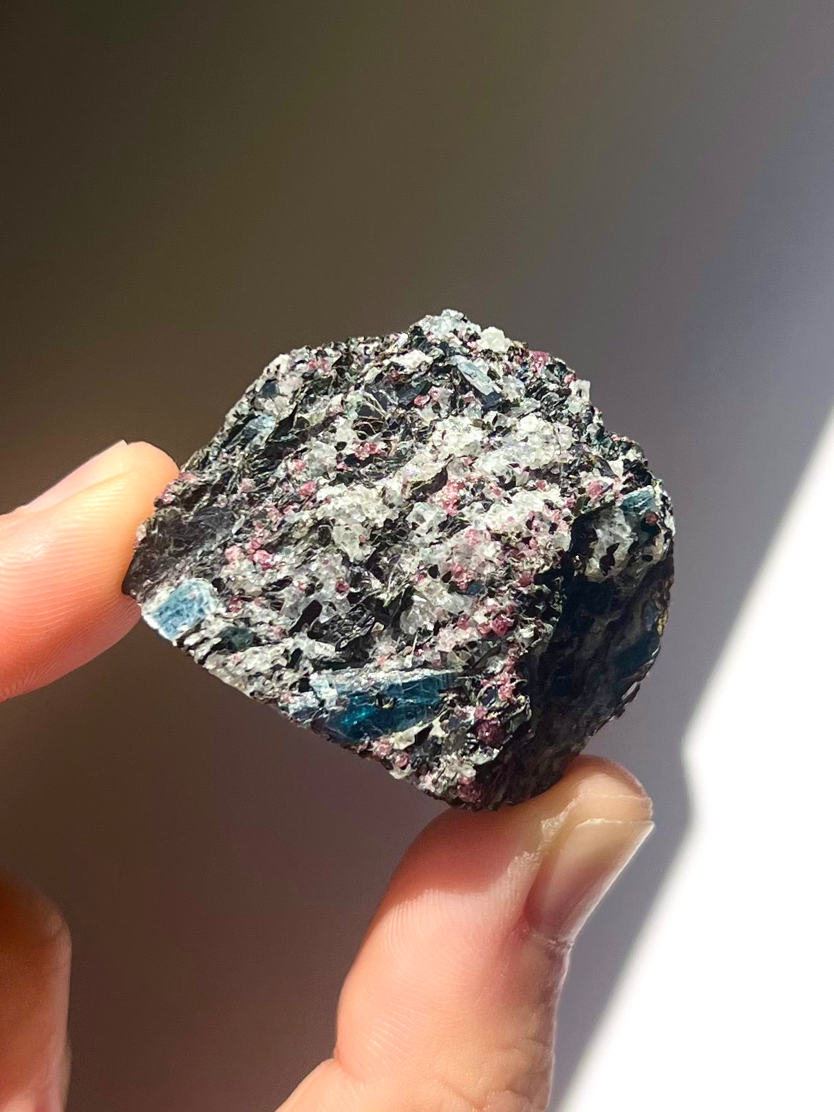 Spécimen Cyanite / Grenat / Biotite / Albite / Quartz 10