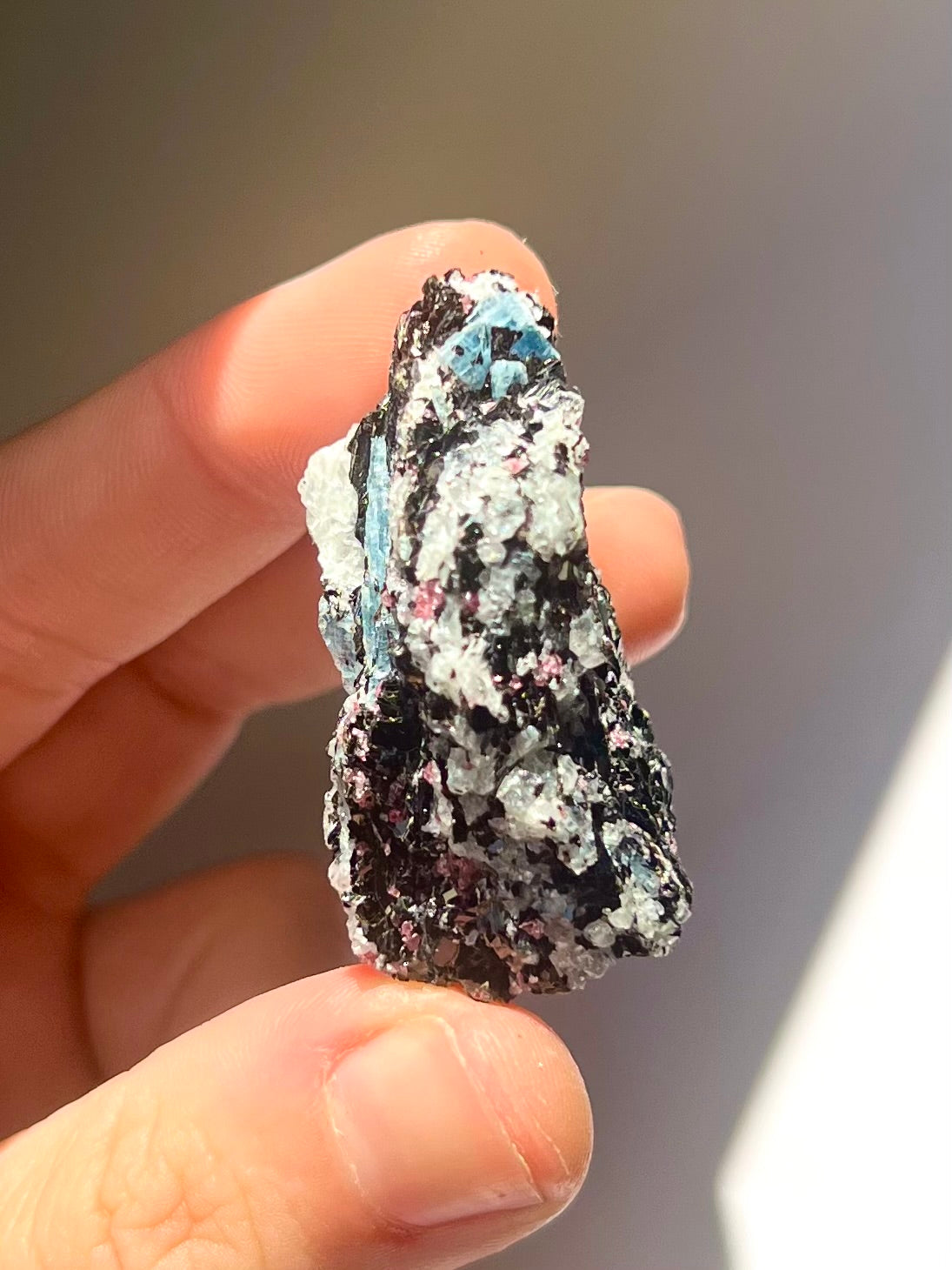 Spécimen Cyanite / Grenat / Biotite / Albite / Quartz 12