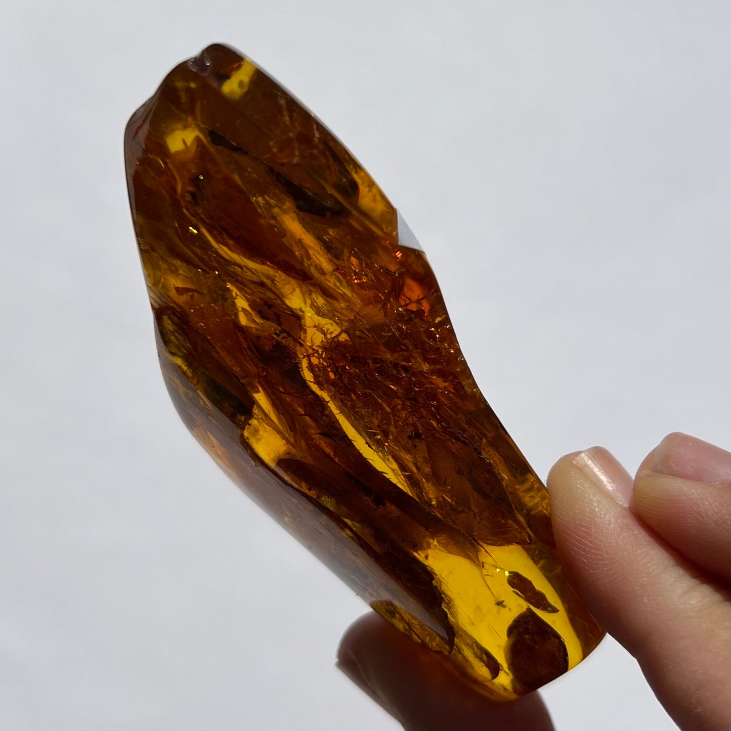 Ambre avec insecte 1