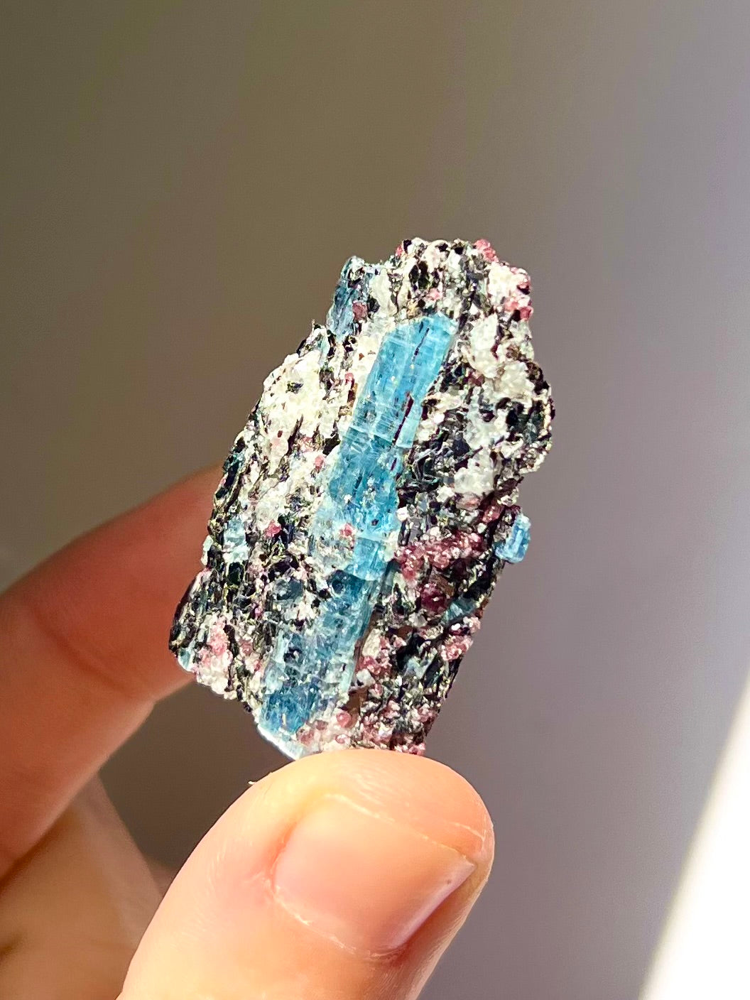 Spécimen Cyanite / Grenat / Biotite / Albite / Quartz 3